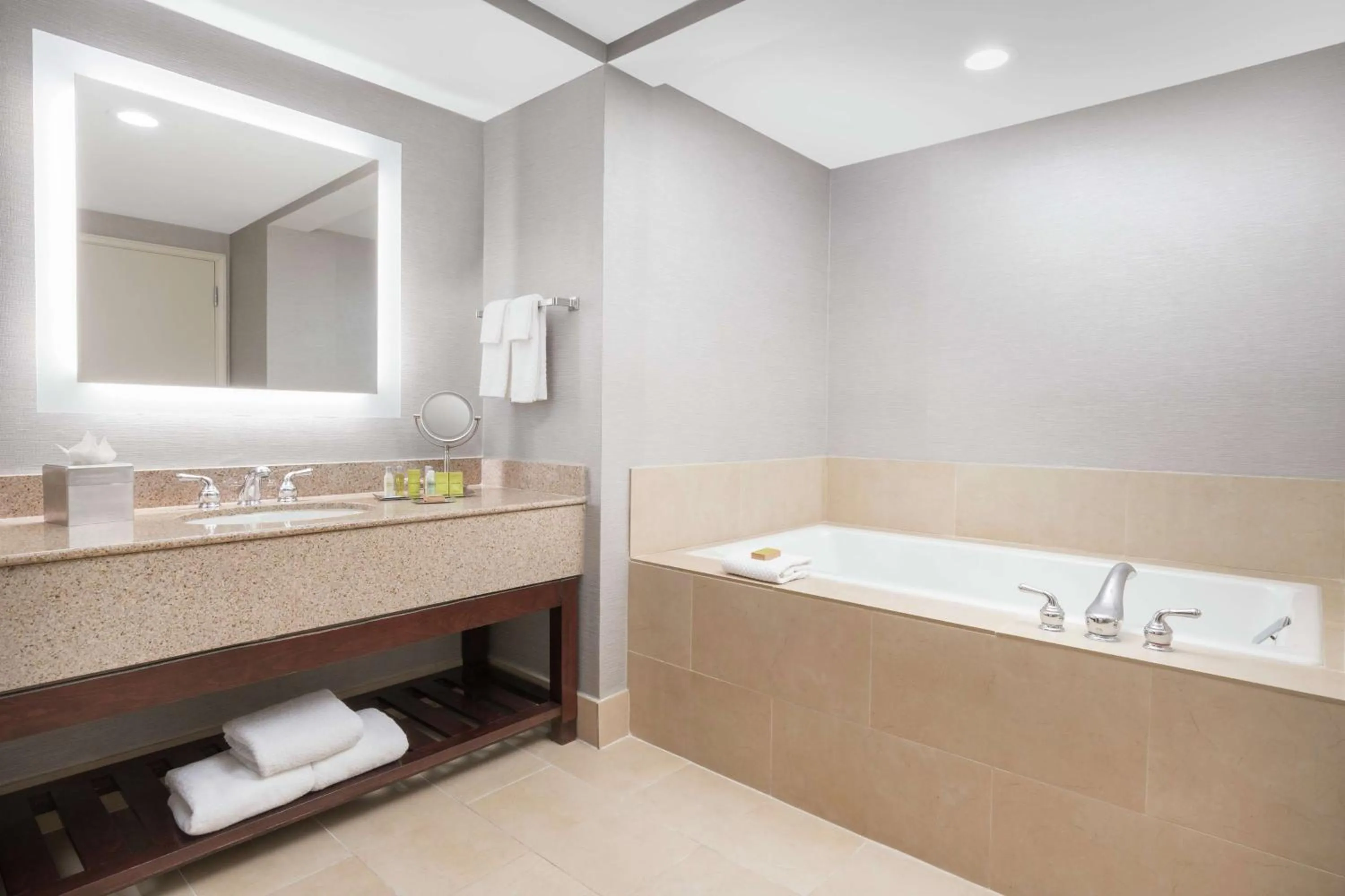 Bathroom in DoubleTree by Hilton Colorado Springs