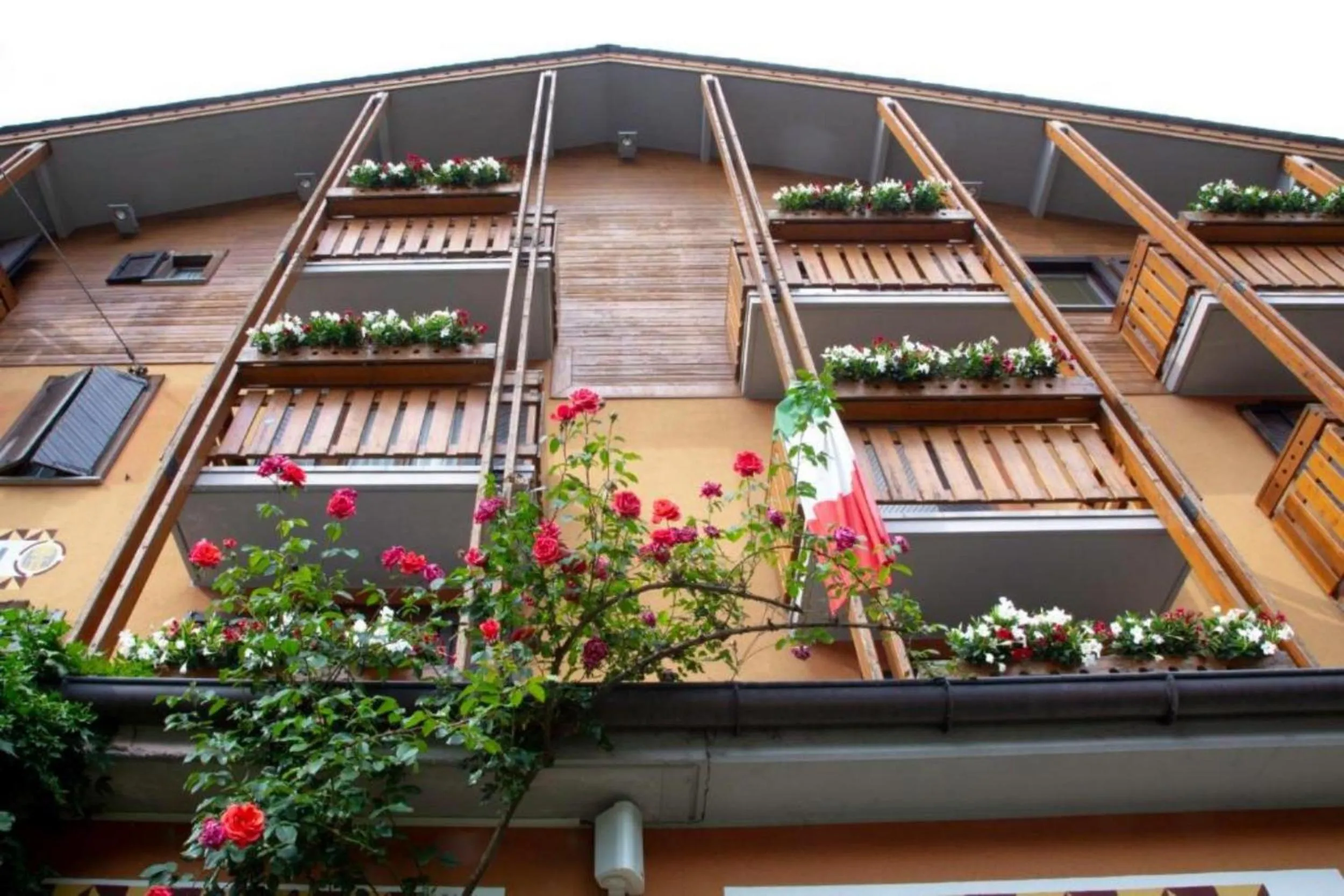 Property building in Hotel Moizi