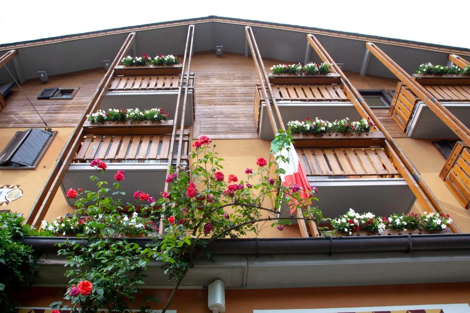 Property building in Hotel Moizi