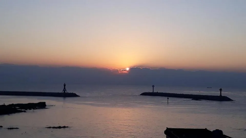 Beach in Brown Dot Gijang Yeonhwari