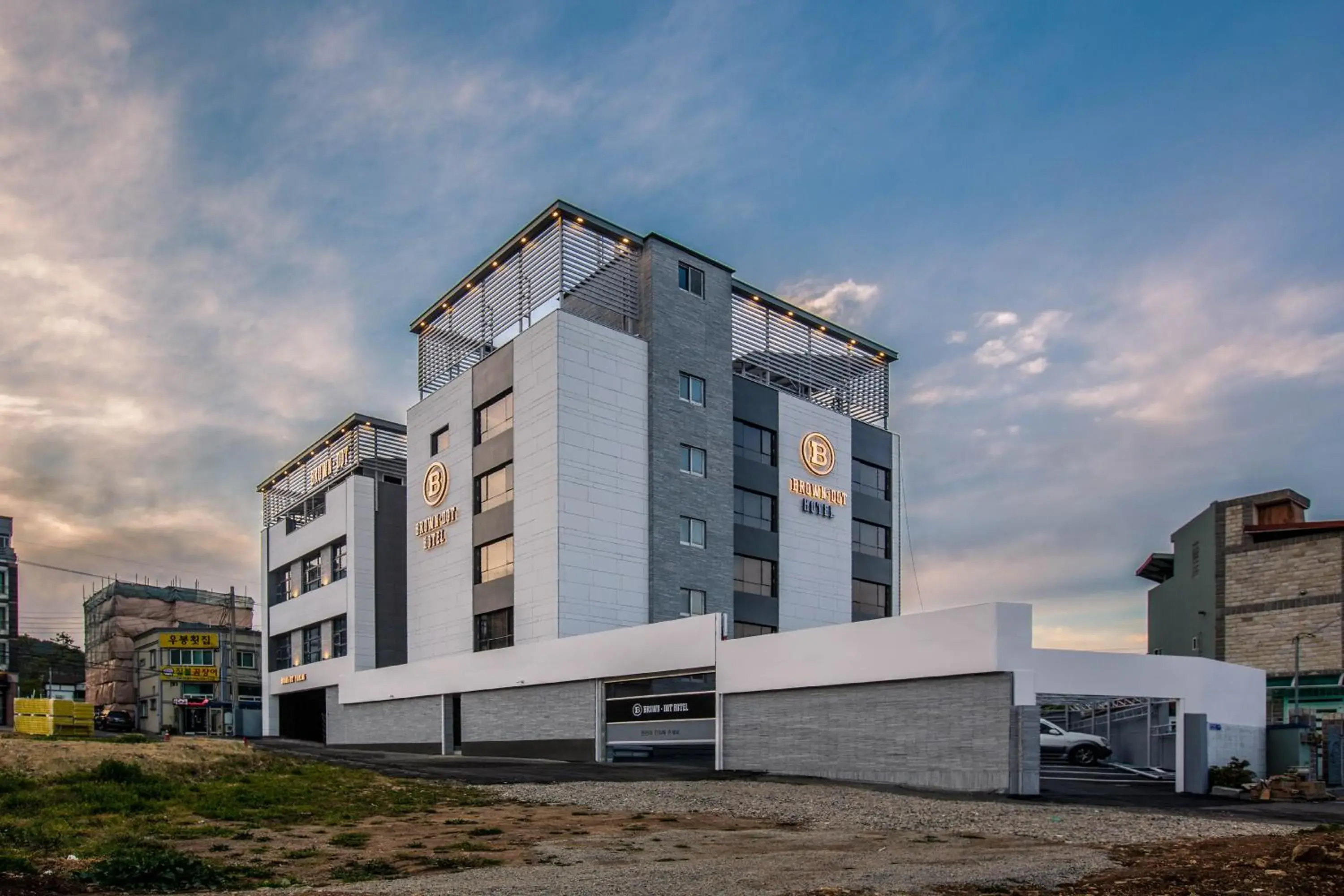 Brown Dot Gijang Yeonhwari Brown Dot Gijang Yeonhwari