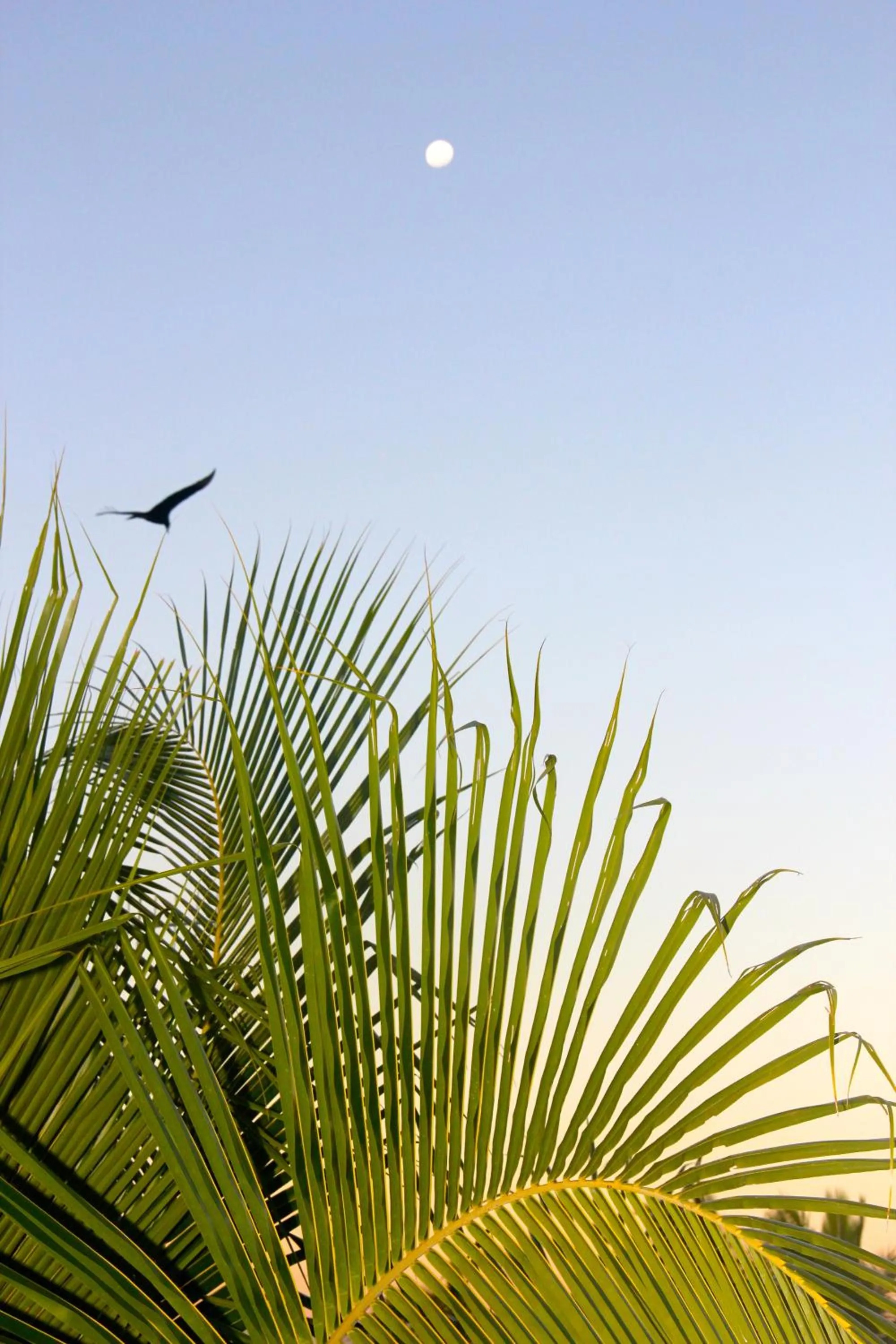Natural landscape in Fazenda São Francisco do Corumbau