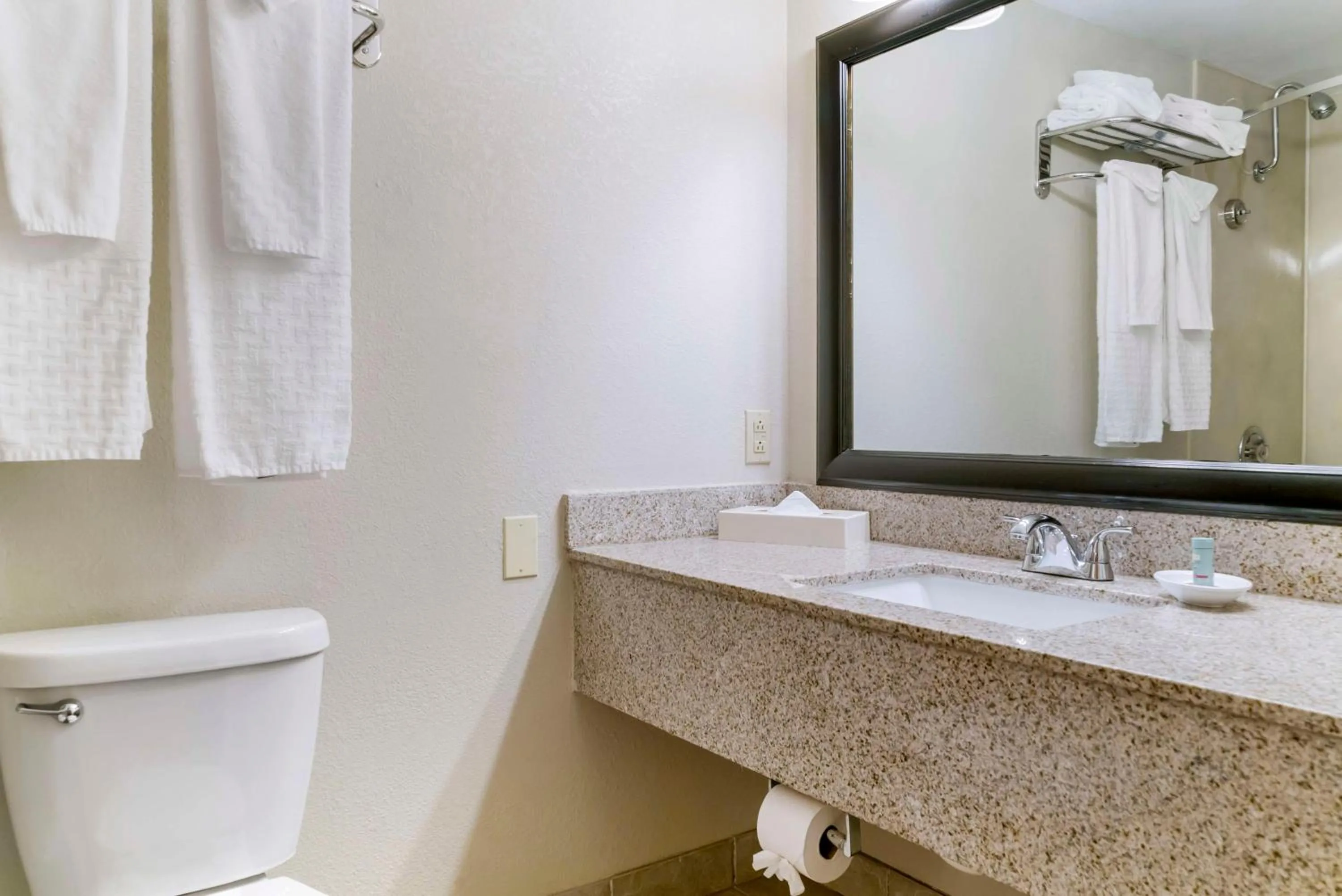 Bathroom in Best Western Greenfield Inn