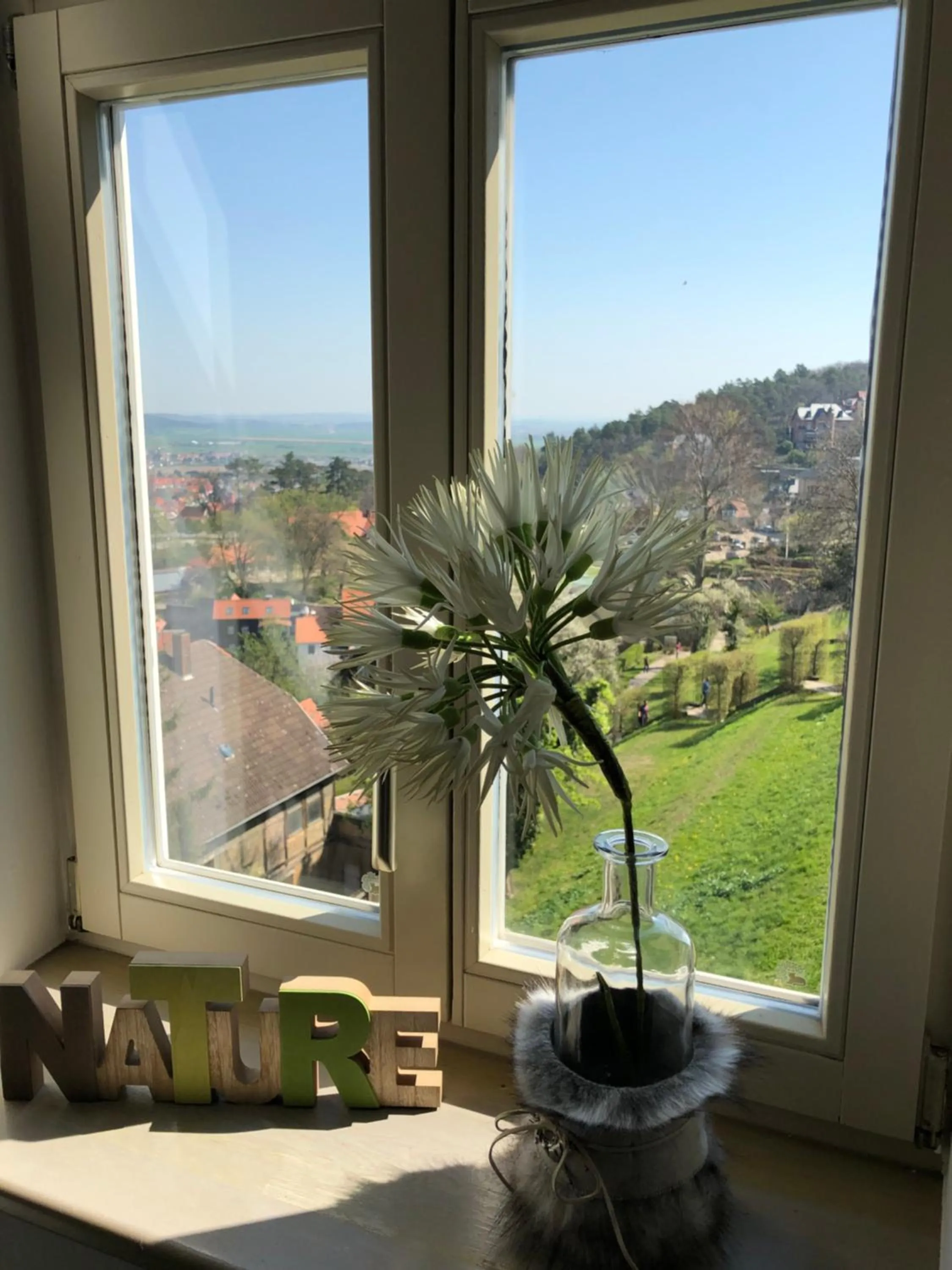 Garden view in Gasthof Obere Mühle