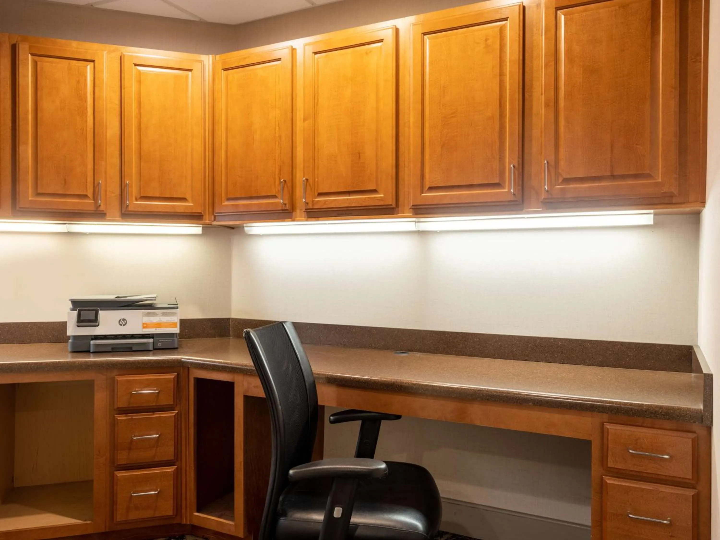 Business facilities in Hampton Inn & Suites Cedar Rapids