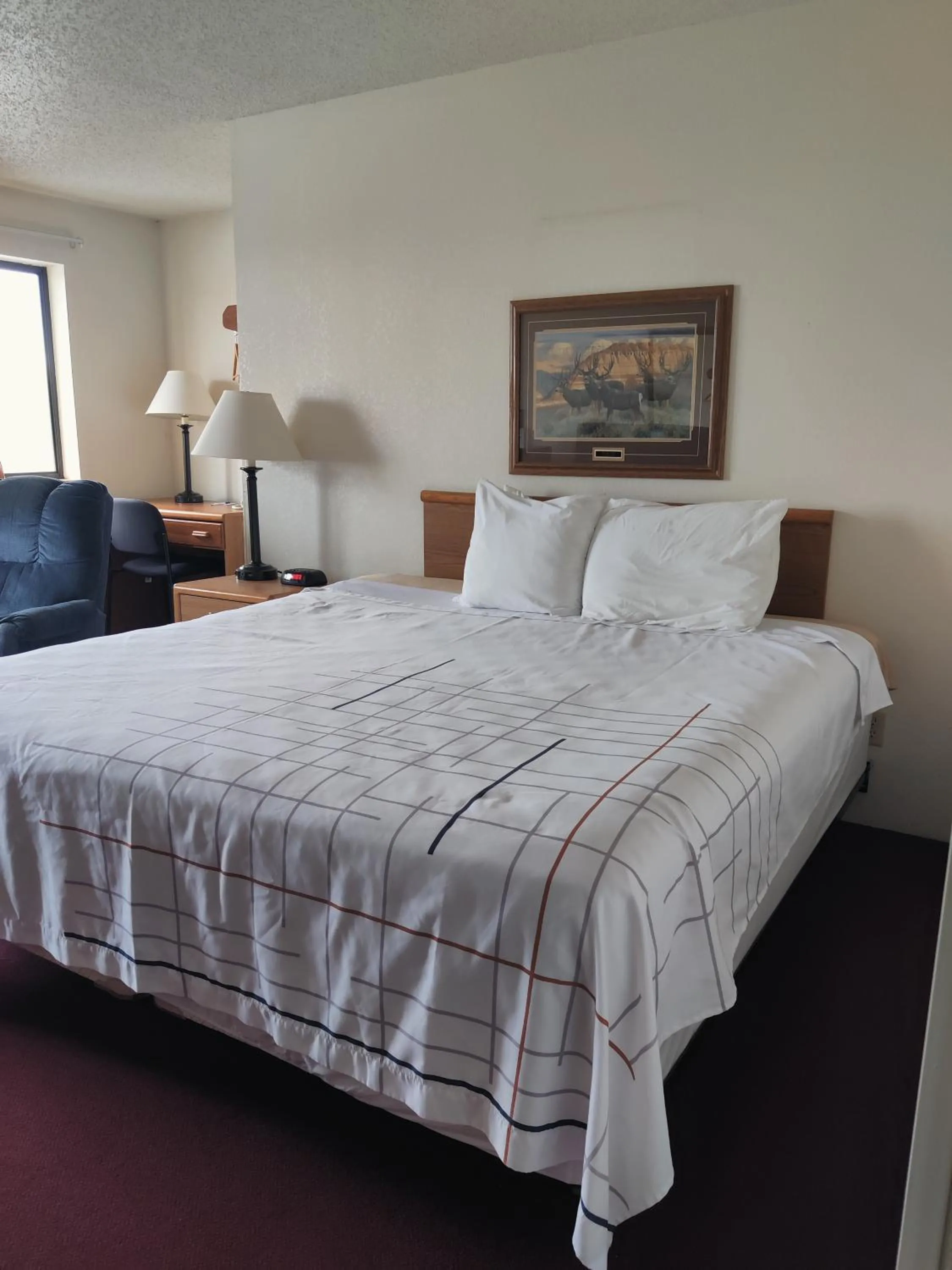 Bed in America's Best Value Inn & Suites International Falls