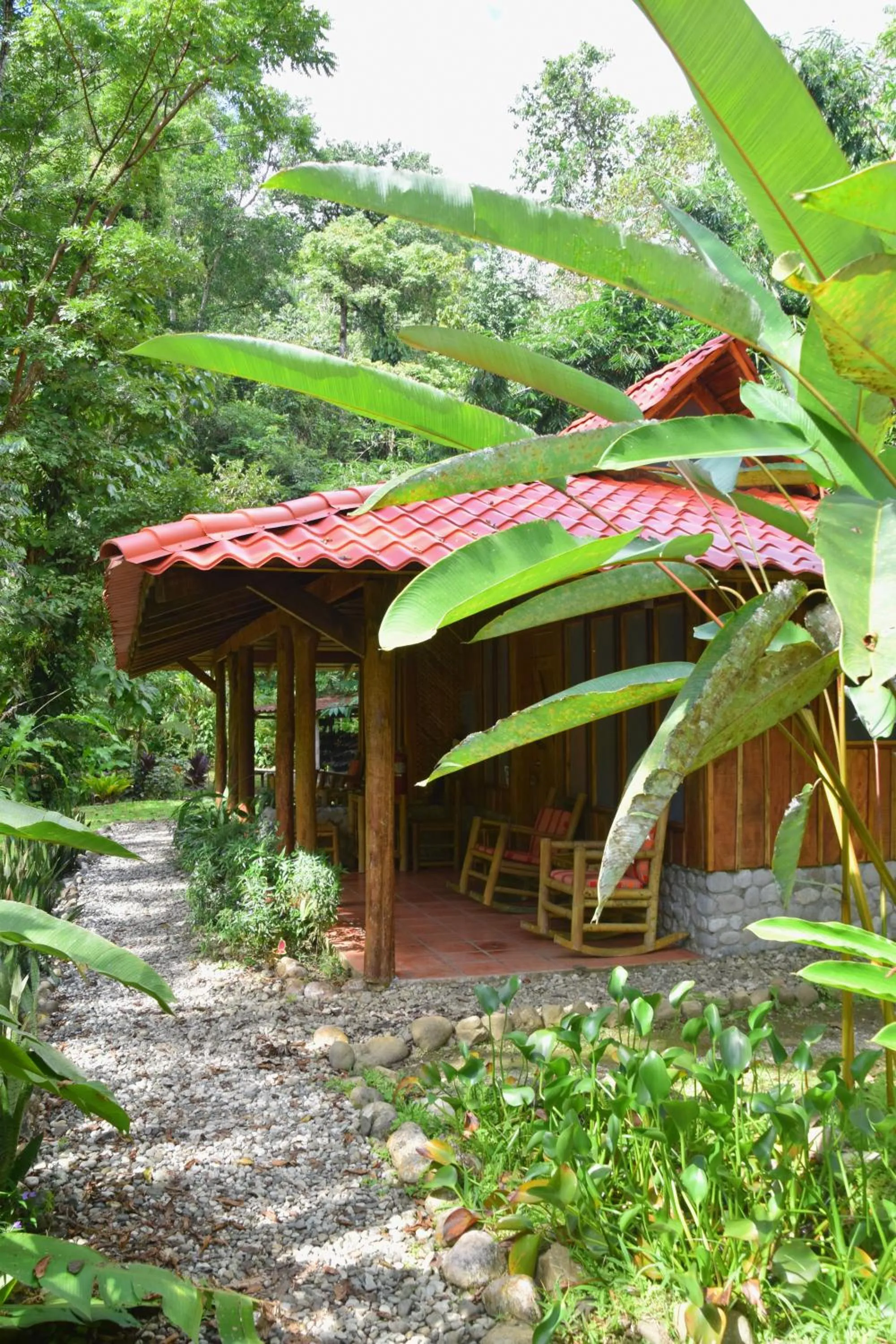 Standard Double Room - single occupancy in Esquinas Rainforest Lodge