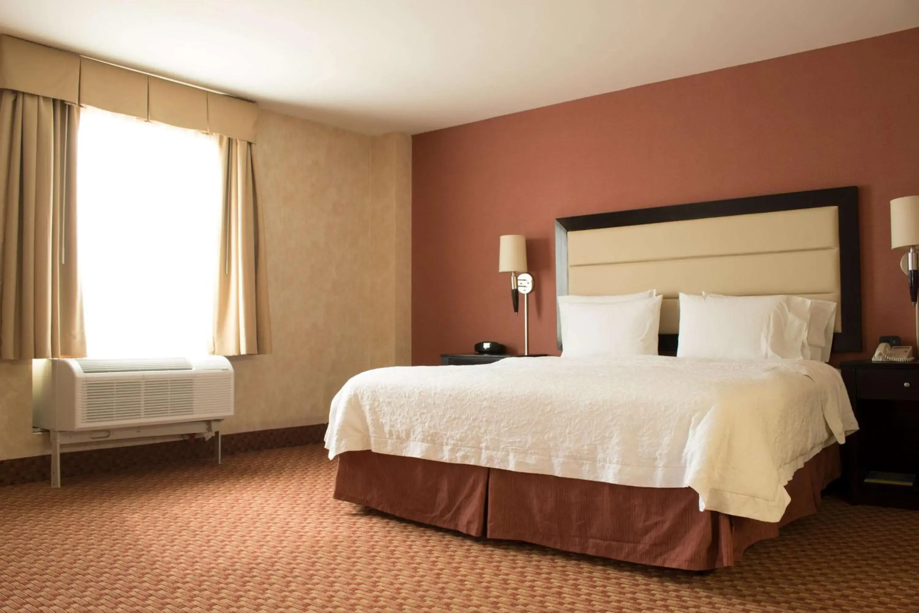 King Studio Suite with Sofa Bed - Non-Smoking in Hampton Inn by Hilton Ciudad Victoria King Studio Suite with Sofa Bed - Non-Smoking in Hampton Inn by Hilton Ciudad Victoria