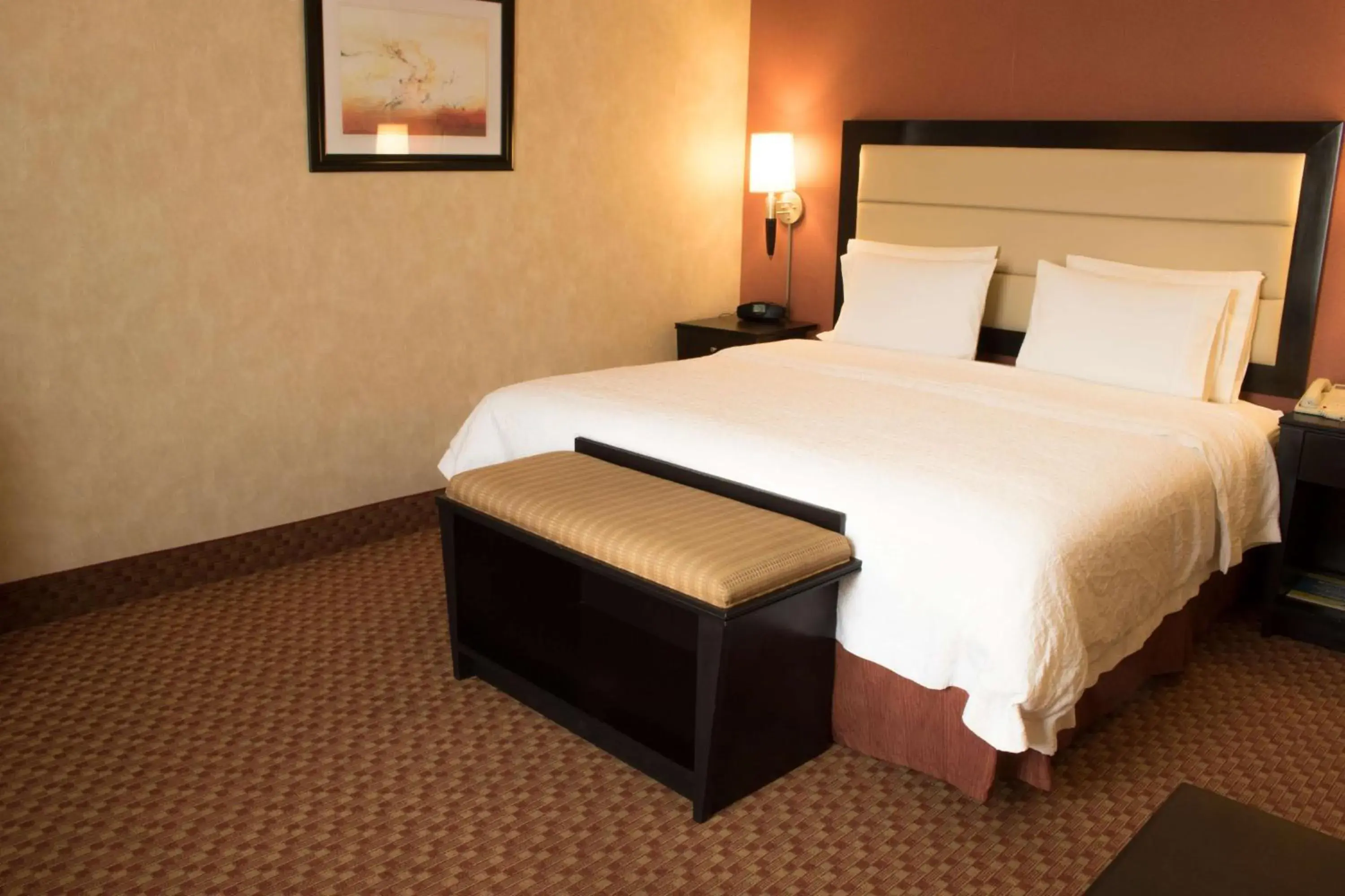 King Room with King Bed - Non-Smoking in Hampton Inn by Hilton Ciudad Victoria King Room with King Bed - Non-Smoking in Hampton Inn by Hilton Ciudad Victoria