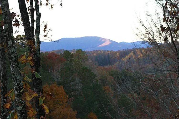 Property building in Our Mountain Getaway