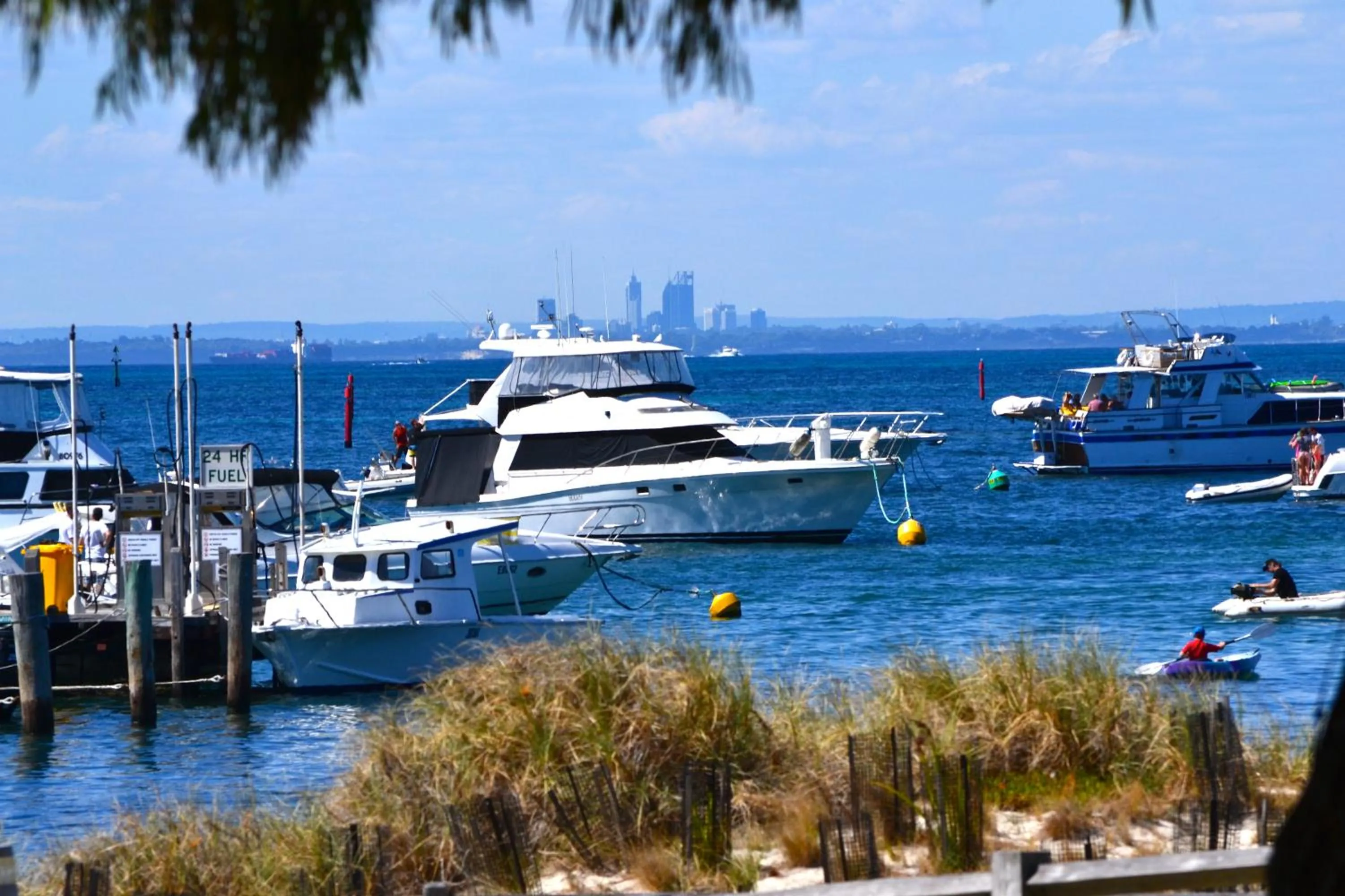 Natural landscape in Palms Bed & Breakfast