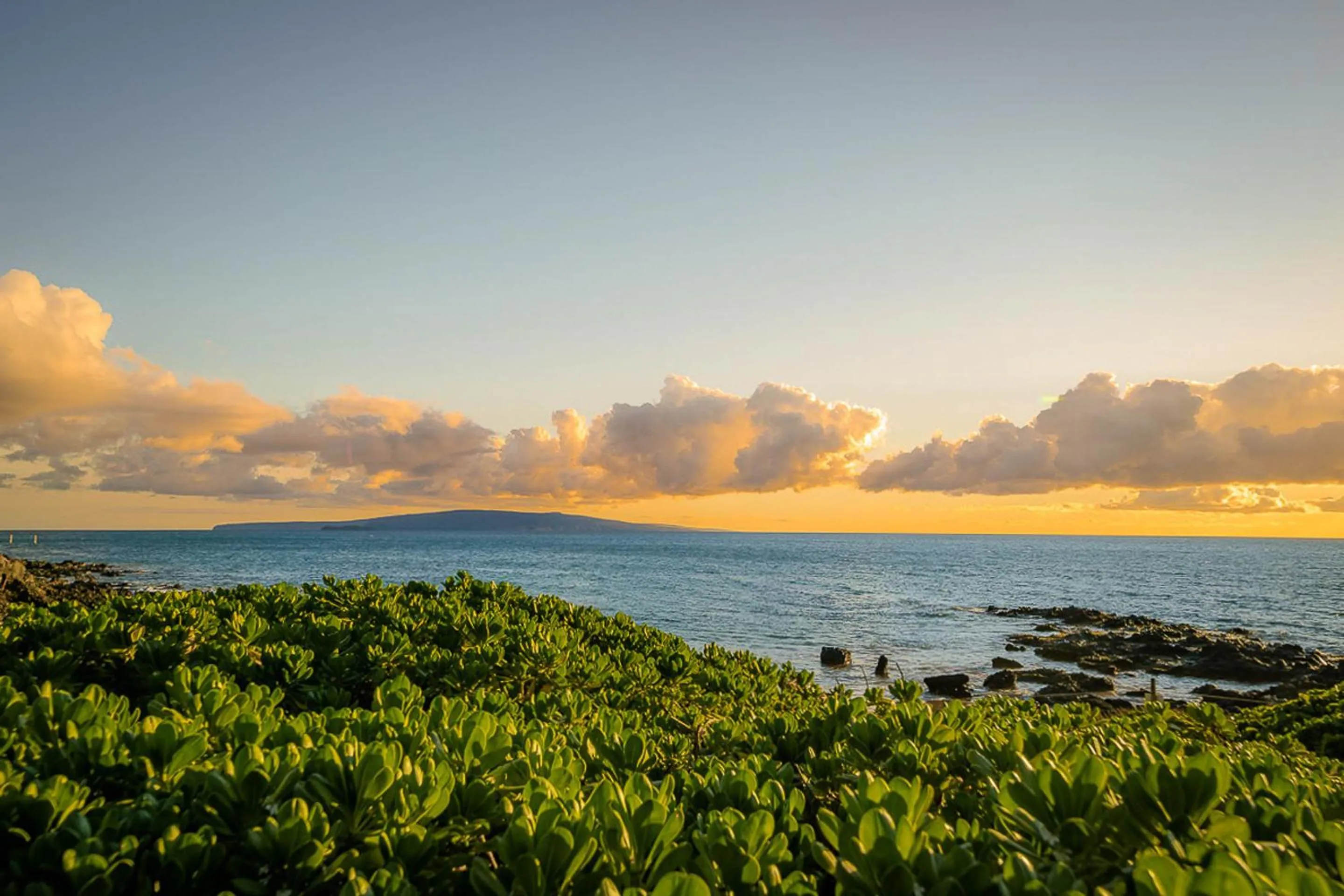 Property building in 1112ISLANDSURF312ISNCO - Island Surf 312