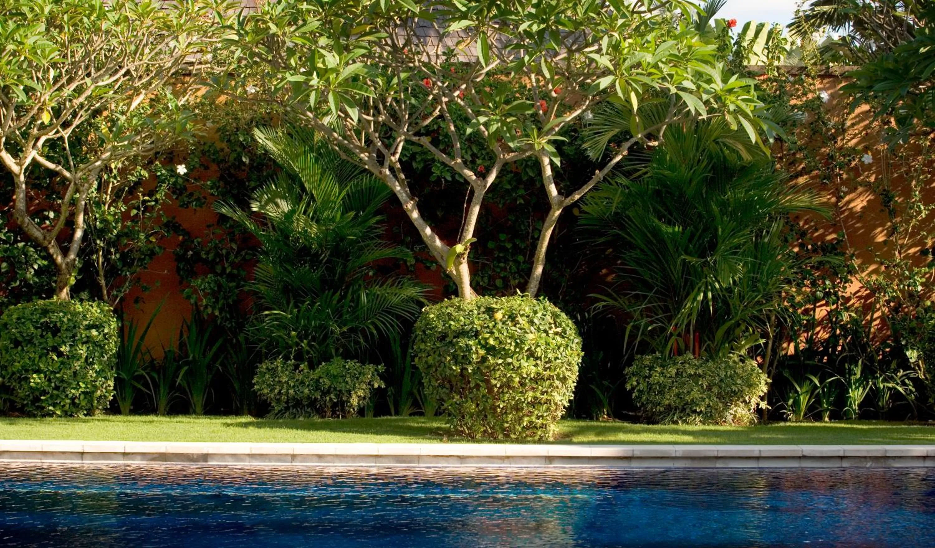 Swimming pool in The Kunja Villa-Hotel