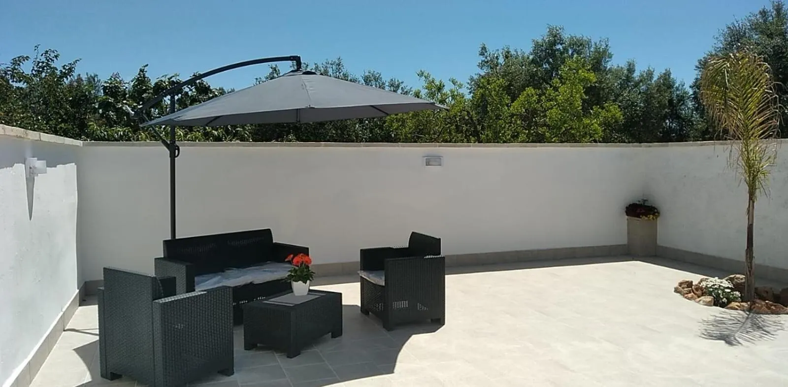 Garden in Paloma B&B