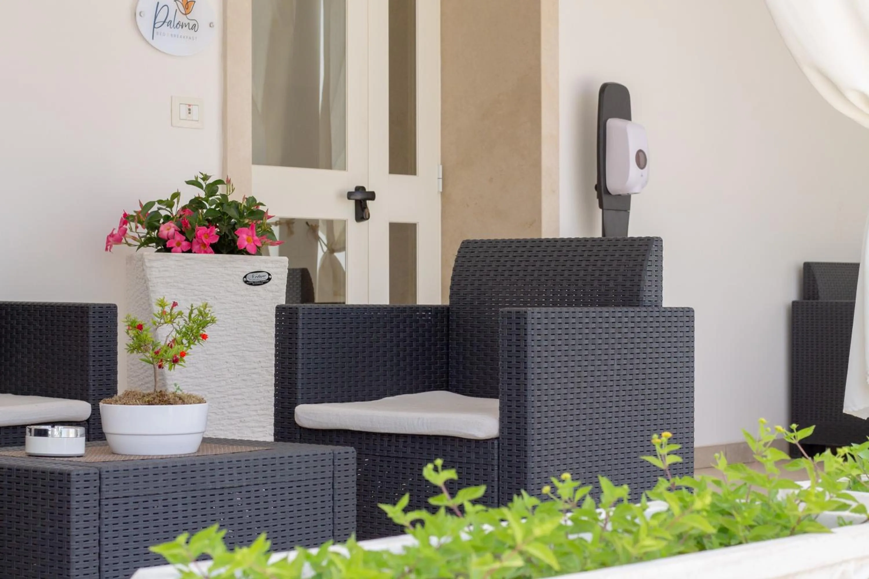 Property building in Paloma B&B