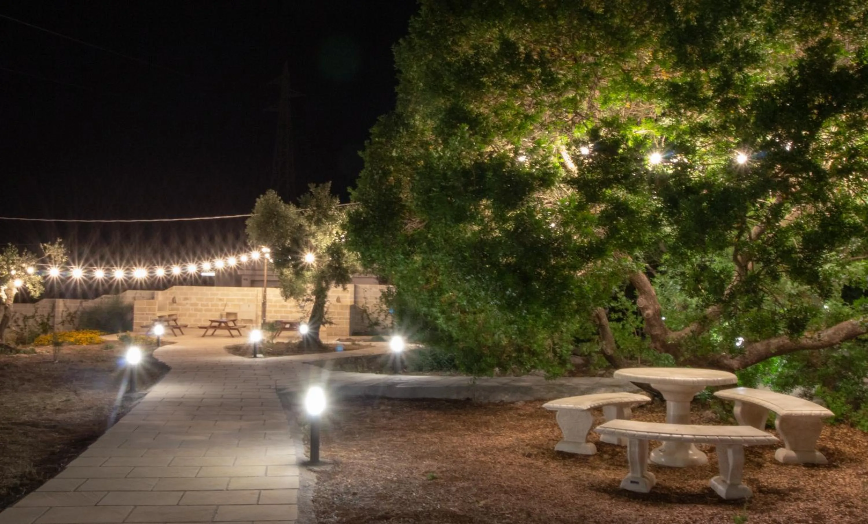 Garden in Paloma B&B