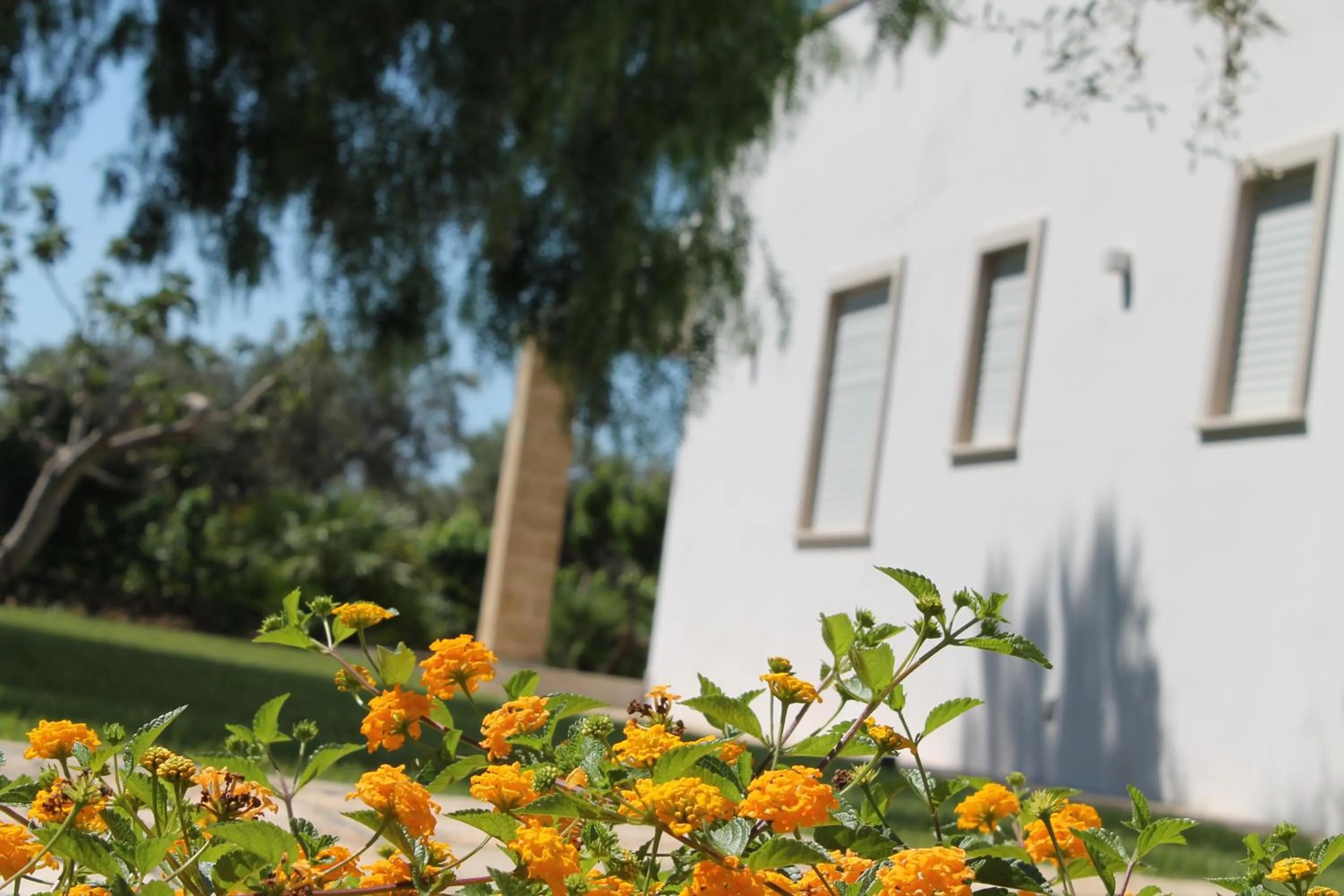 Property building in Paloma B&B