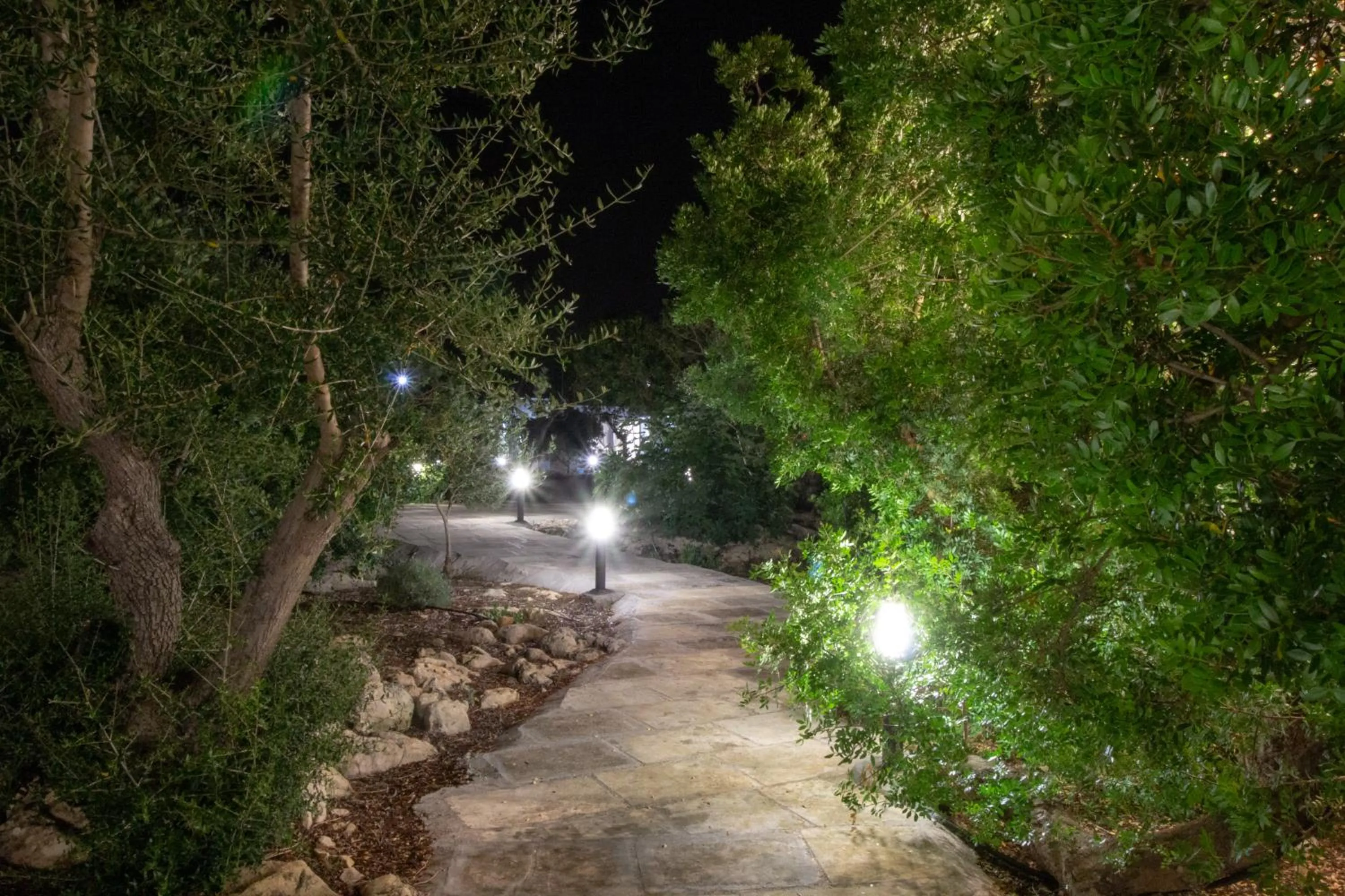 Garden in Paloma B&B