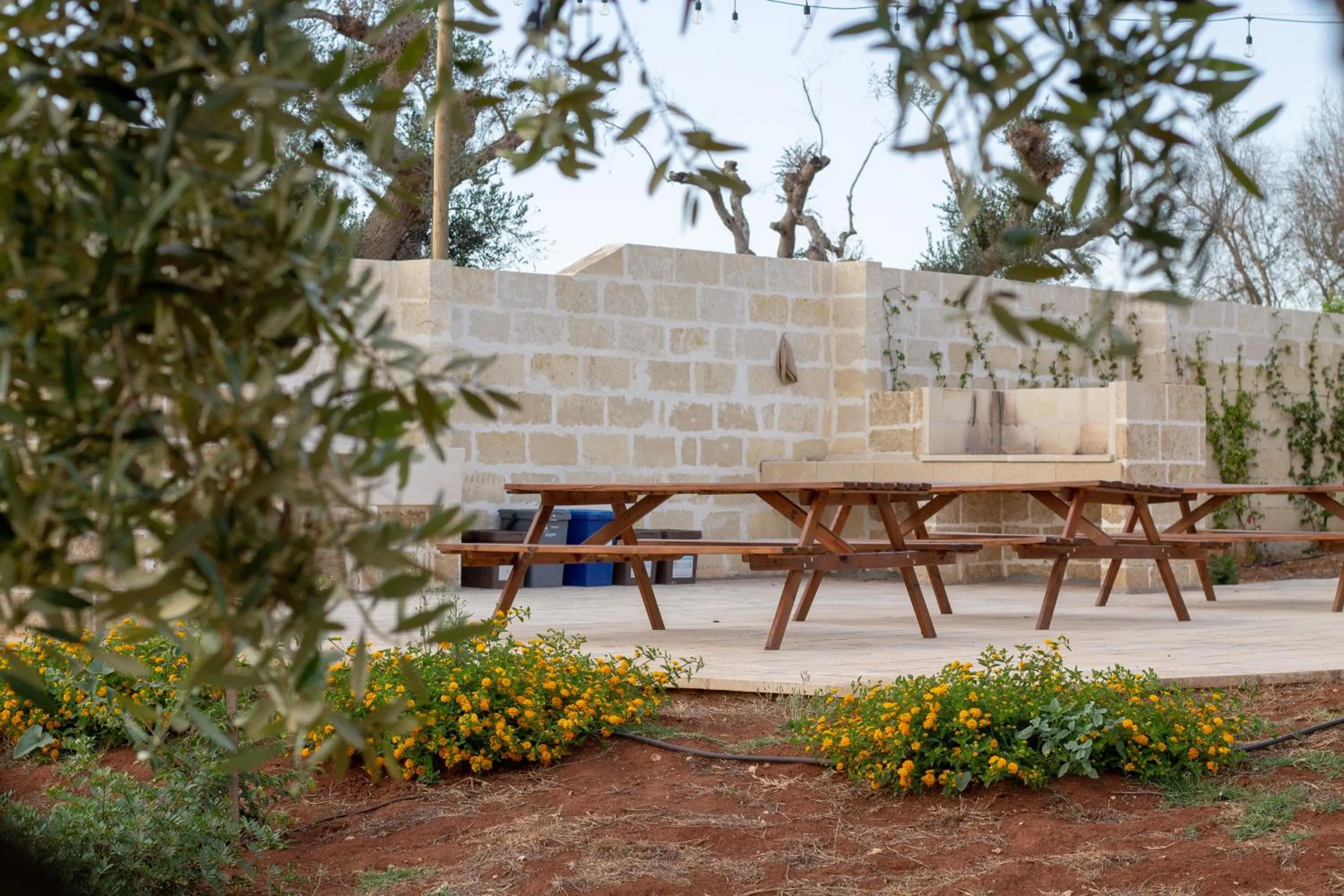 BBQ facilities in Paloma B&B