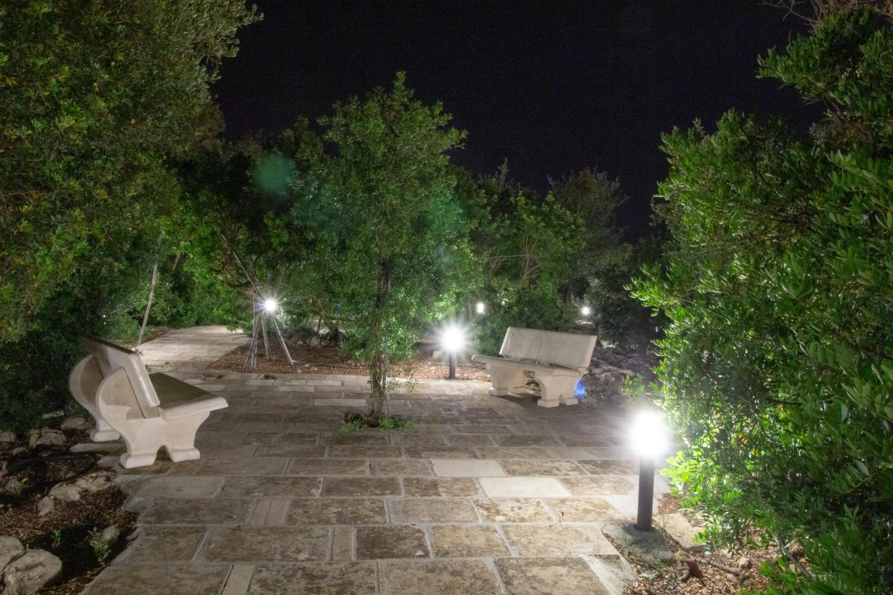 Garden in Paloma B&B