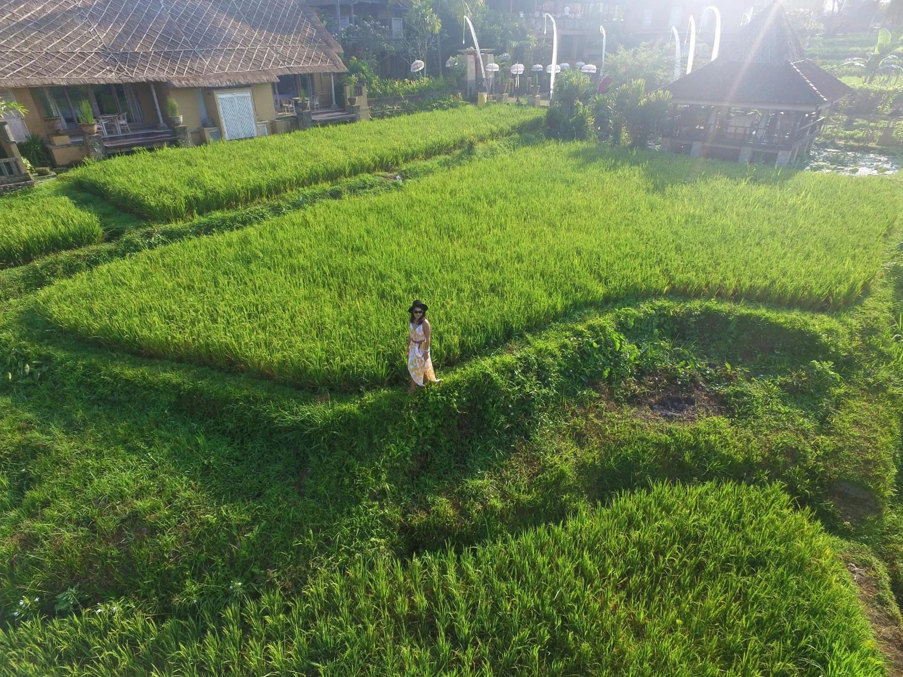 View (from property/room) in Wapa di Ume Ubud