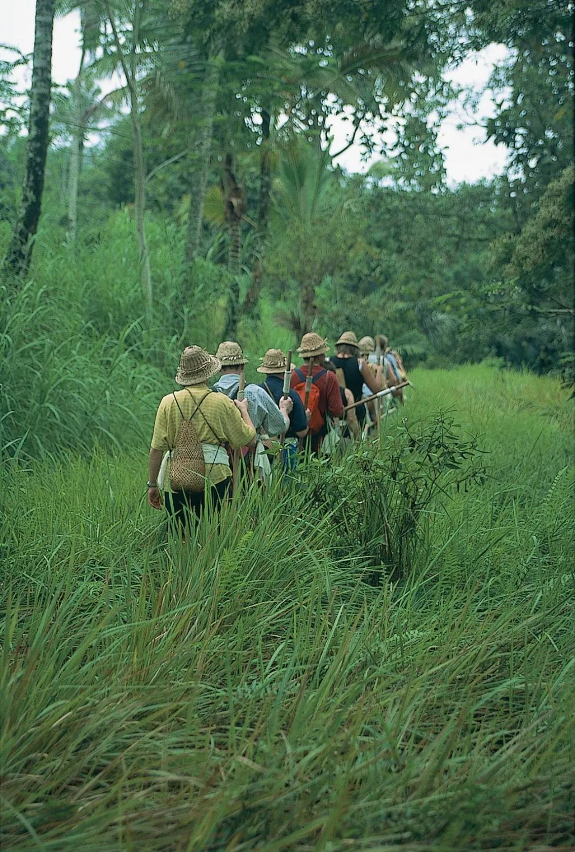 Activities in Wapa di Ume Ubud