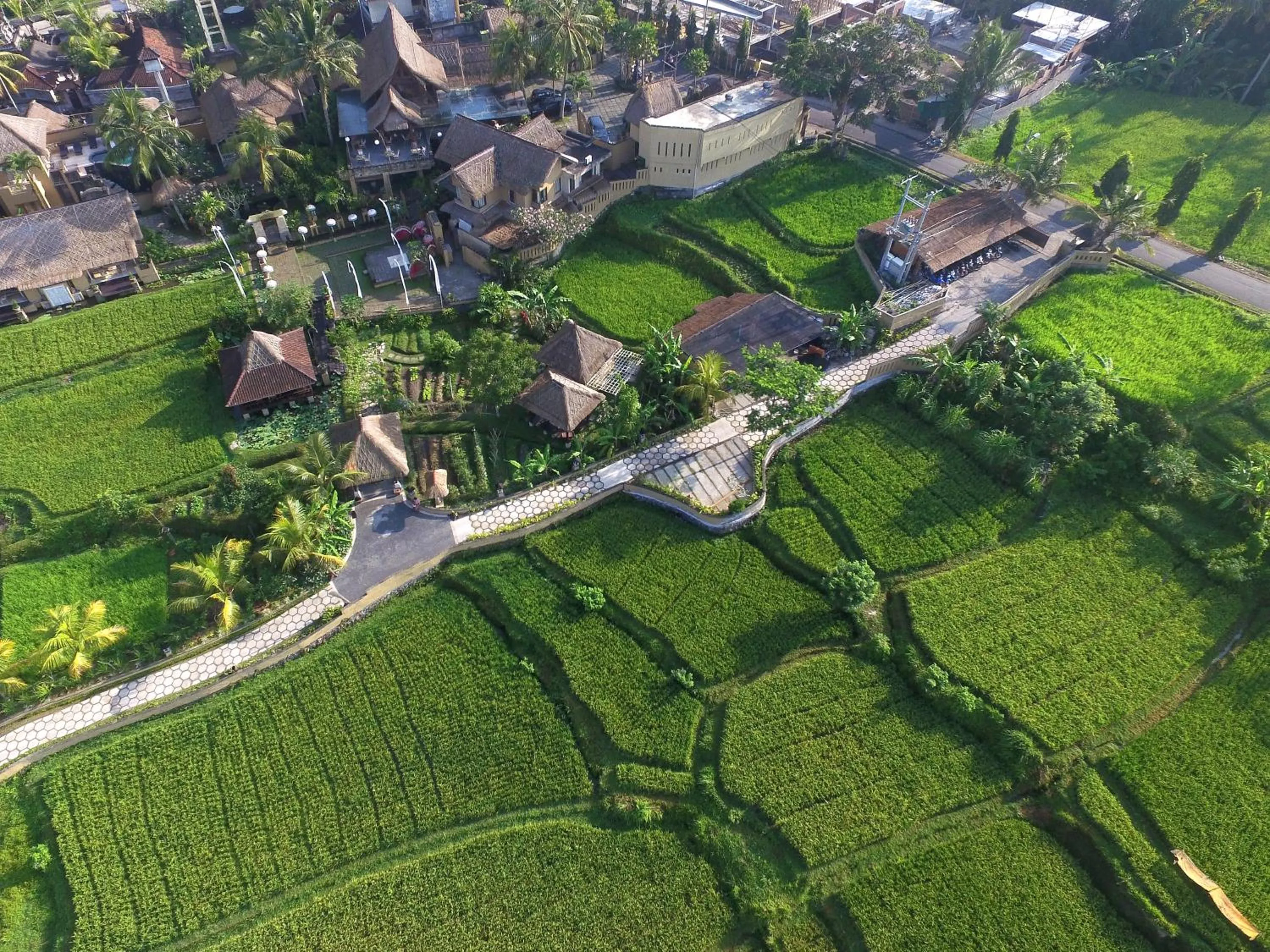 Day in Wapa di Ume Ubud