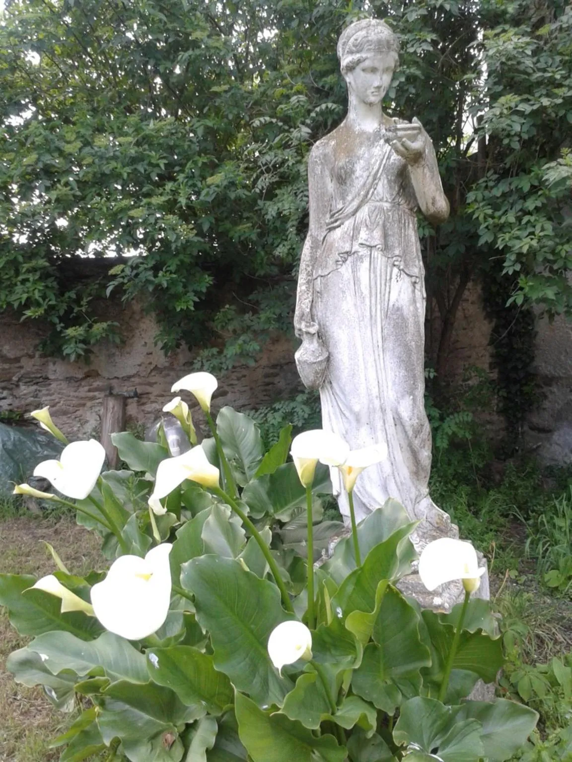 Garden in Château des Bretonnières sur vie - Maison d'hôtes et gîte 4 personnes