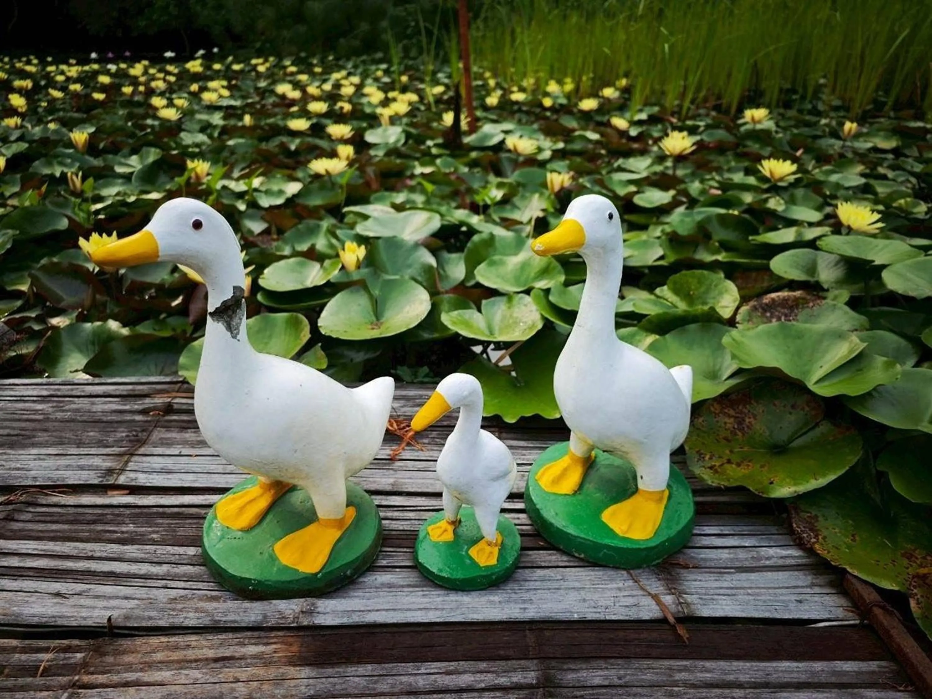 Day in Saikaew Resort