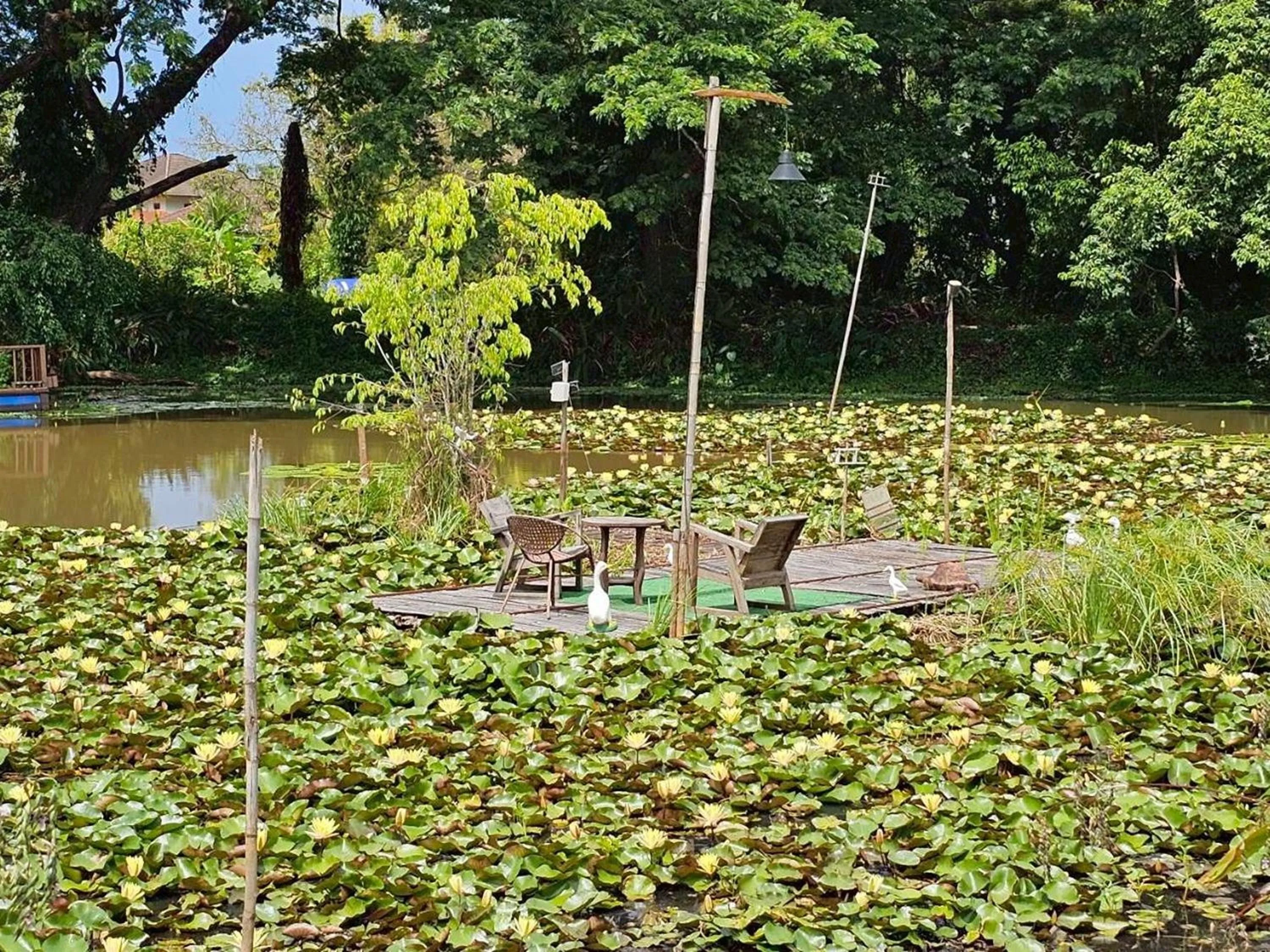 Natural landscape in Saikaew Resort