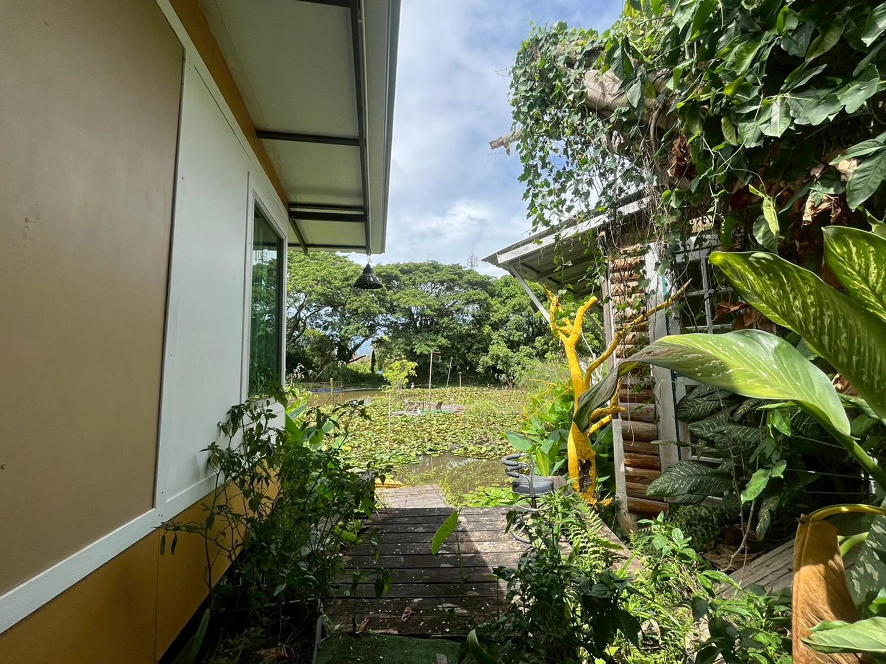 Garden in Saikaew Resort