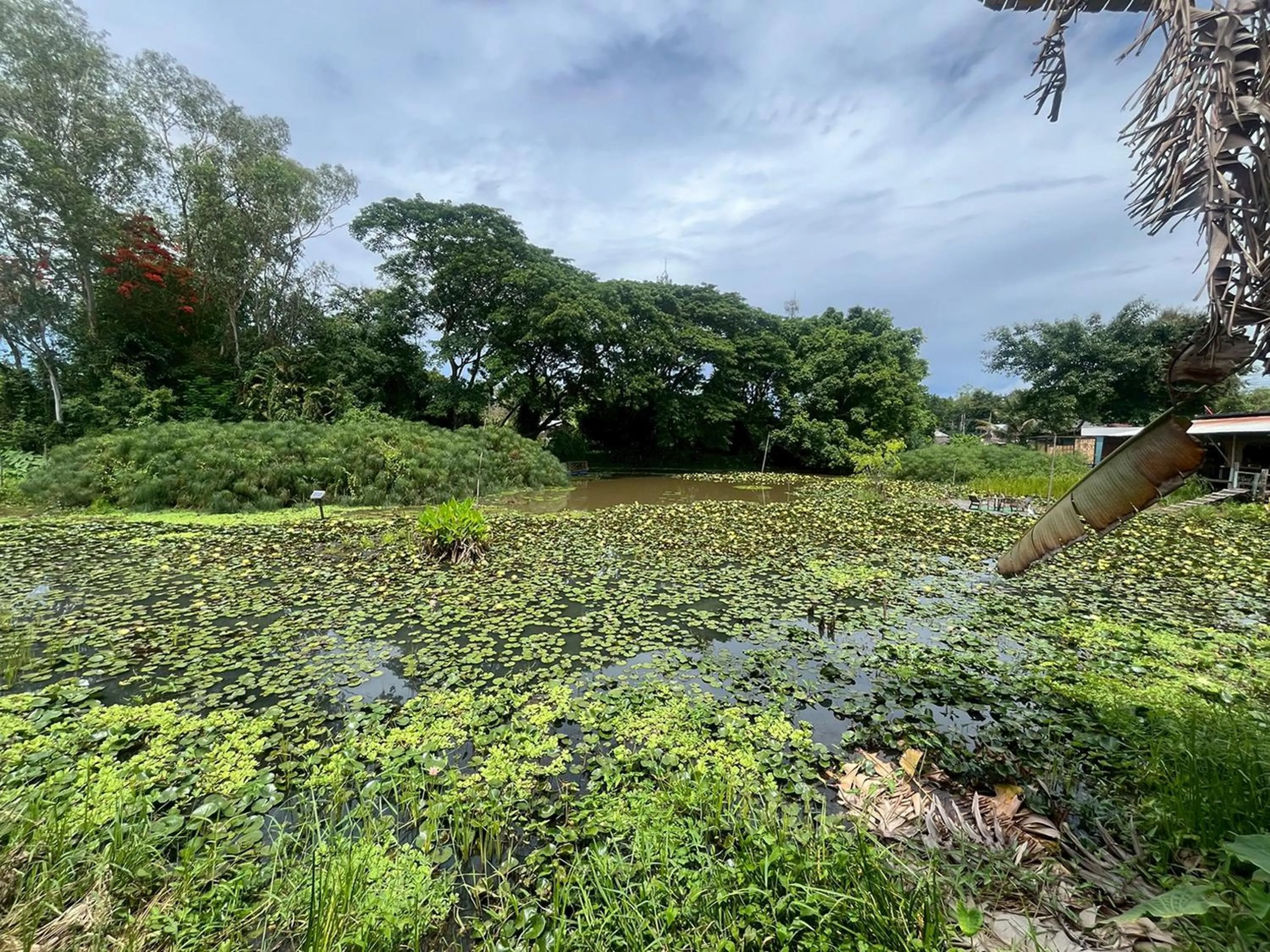 Garden in Saikaew Resort
