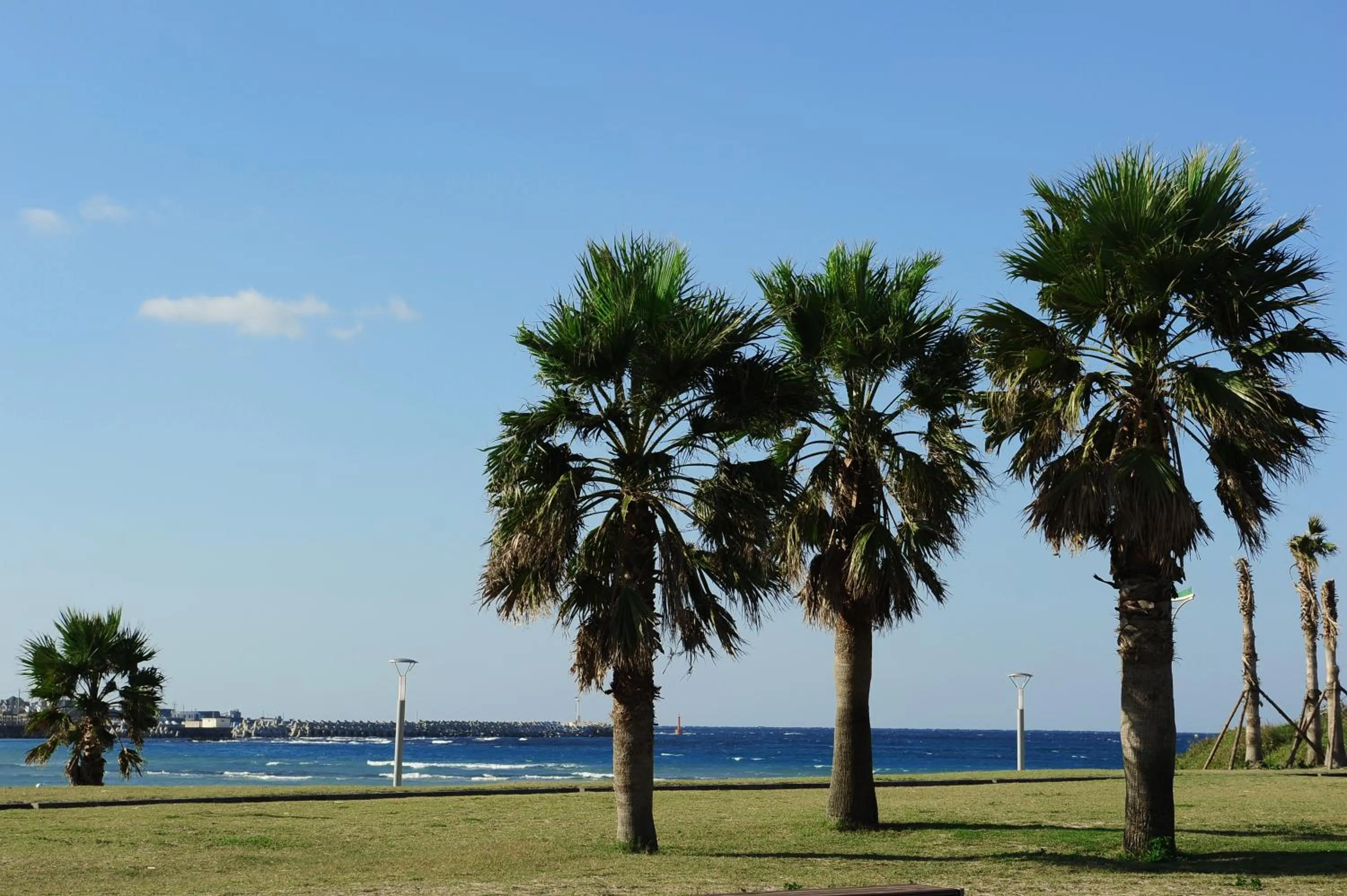 Activities in Jeju Mei The Hotel