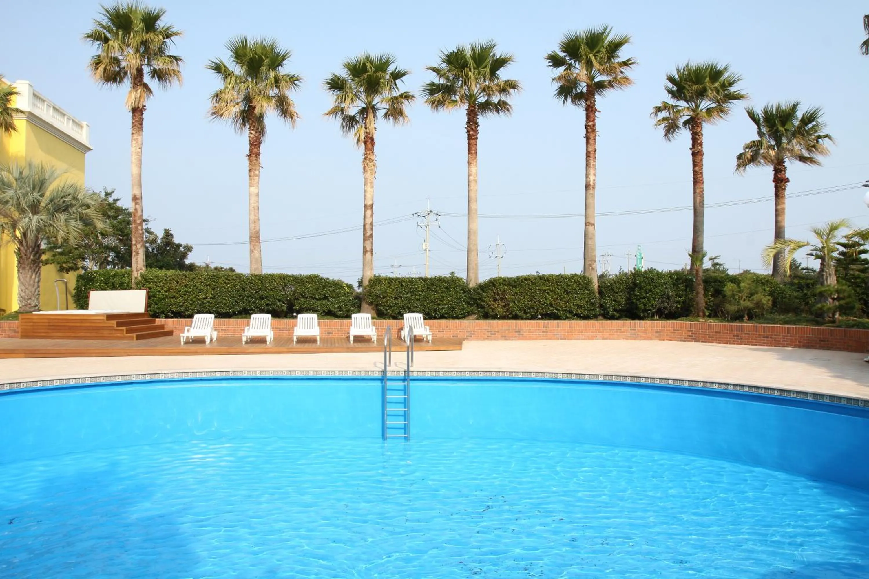 Activities, Swimming Pool in Jeju Mei The Hotel