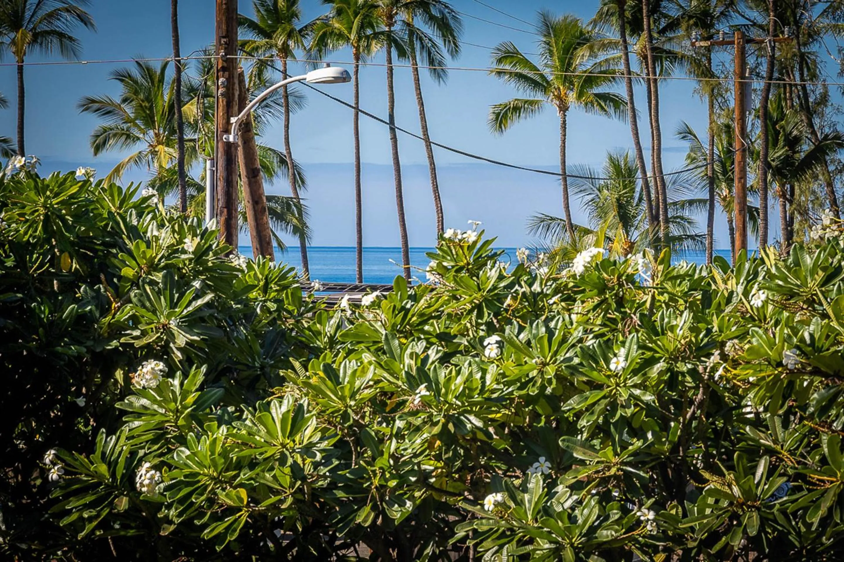 Property building in Maui Vista 1210