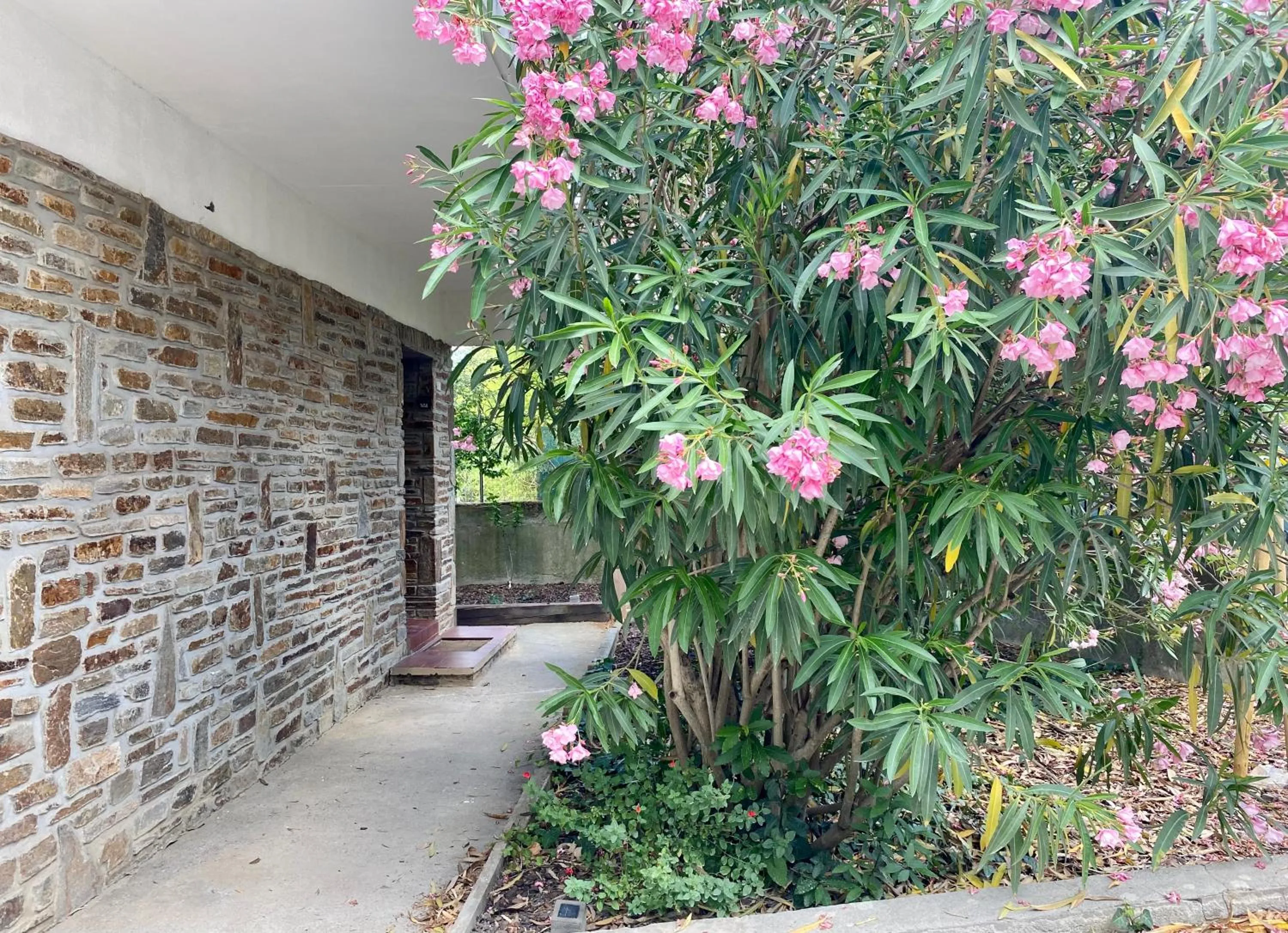 Facade/entrance in MAISON MIGNARDISE - Cité