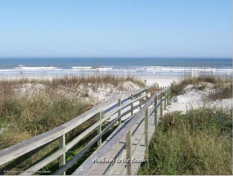 Property building in Sea Urchin 39