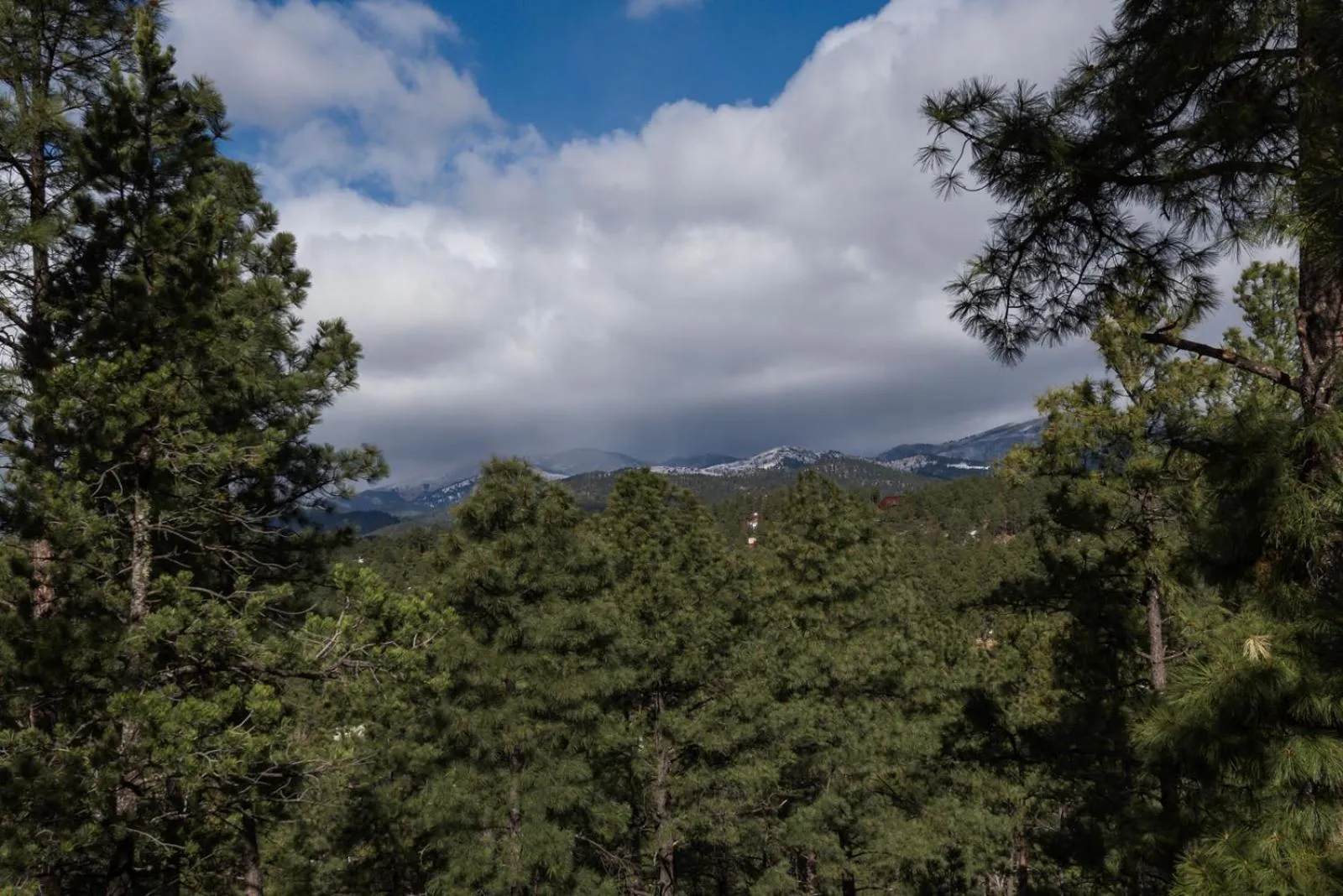 Property building in Aurora Montealis