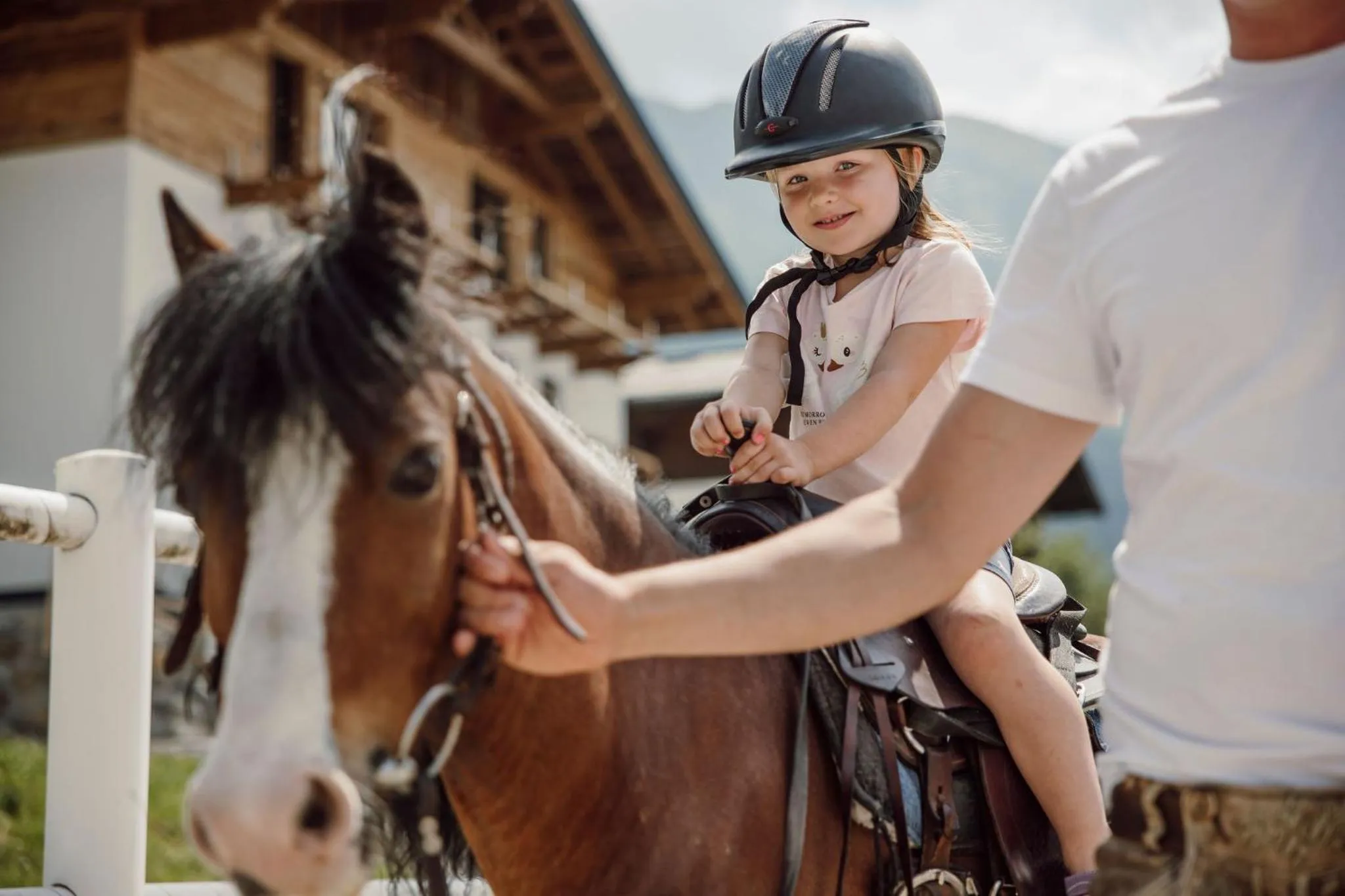 Animals in Lerchs Landhotel