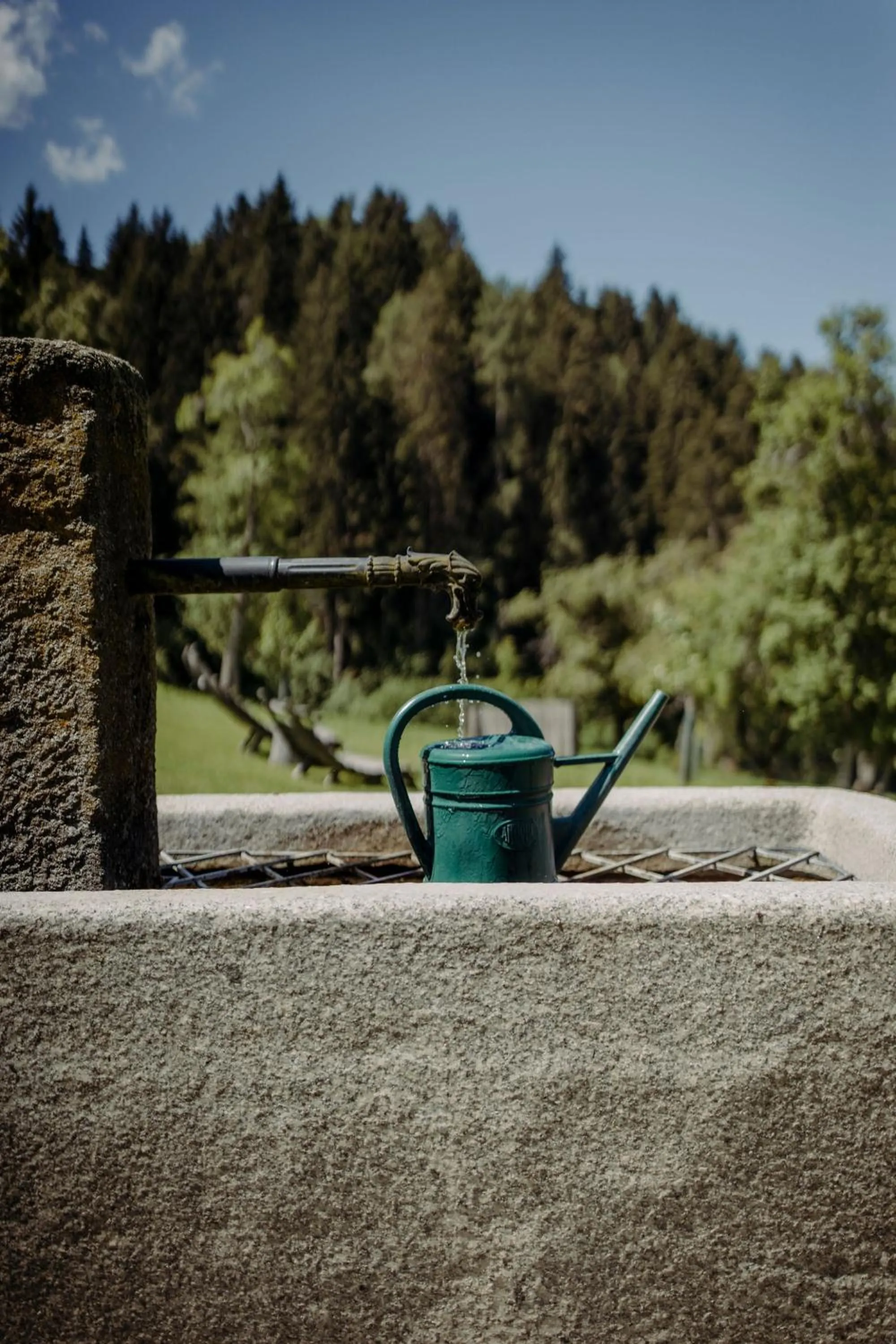 Natural landscape in Lerchs Landhotel