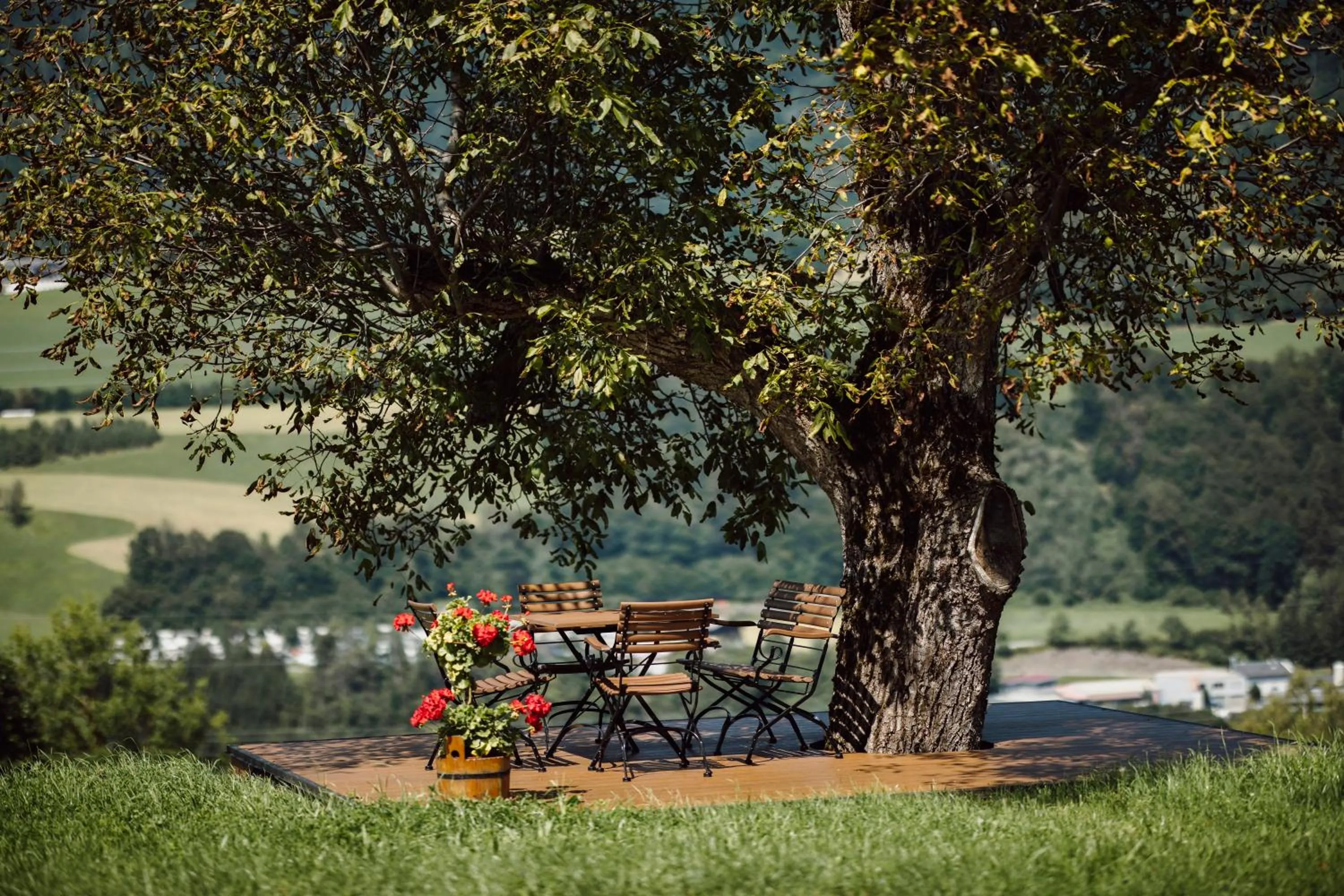 Garden in Lerchs Landhotel