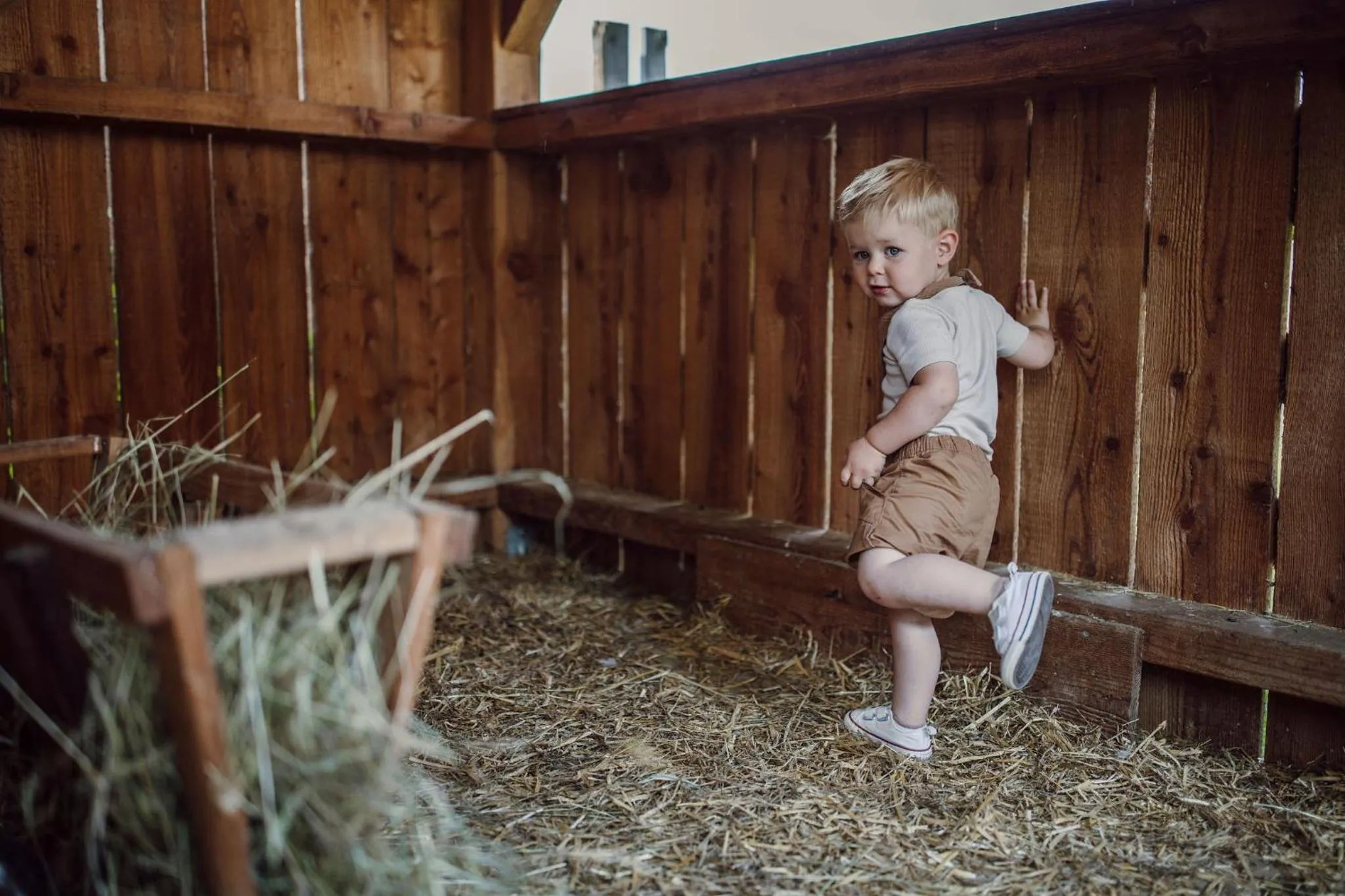 Animals in Lerchs Landhotel