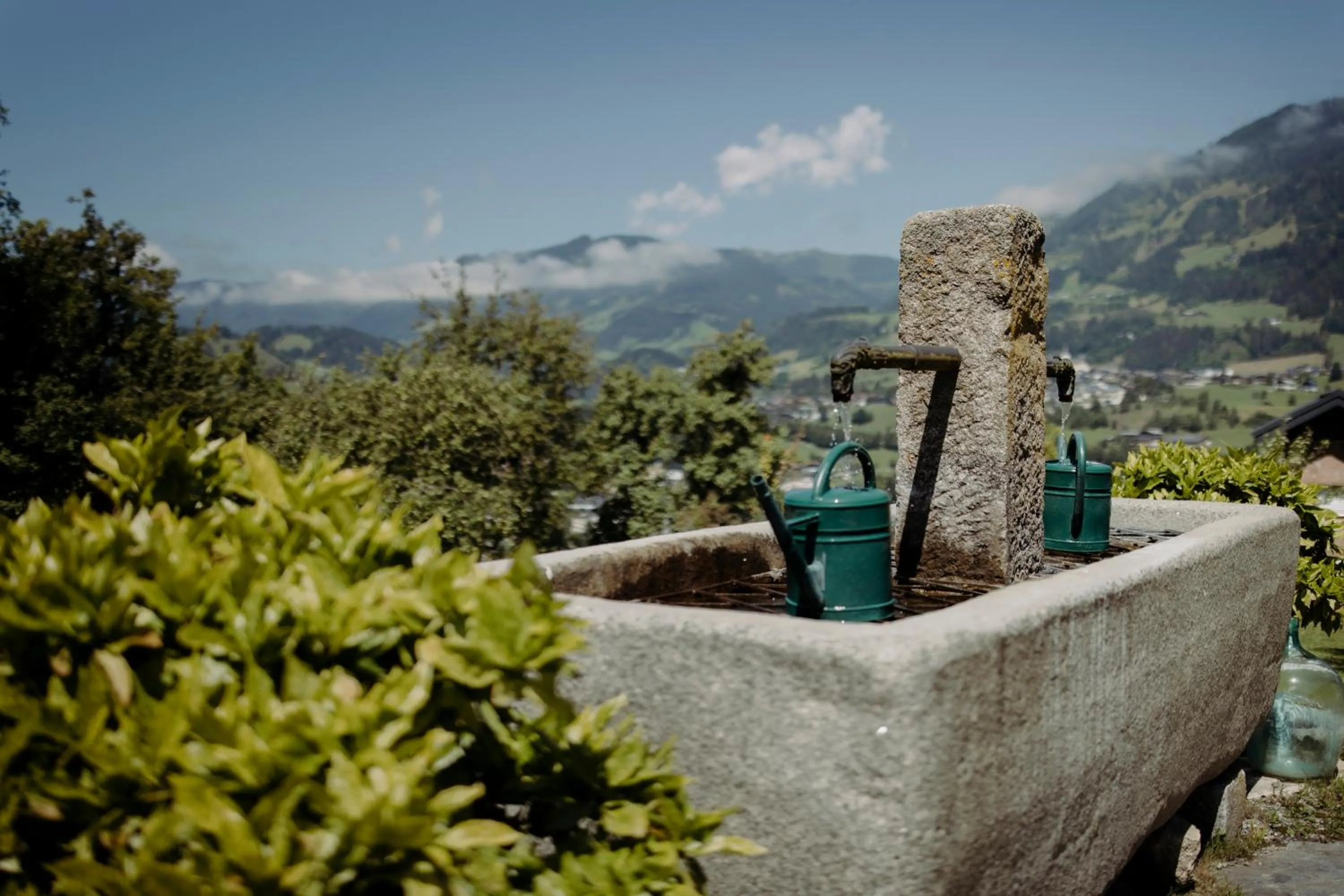 Garden in Lerchs Landhotel