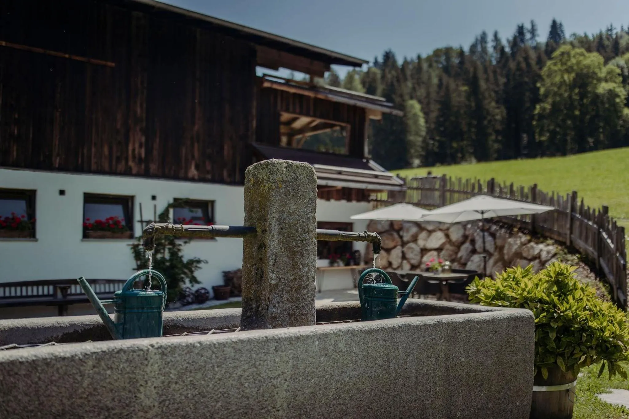 Natural landscape in Lerchs Landhotel