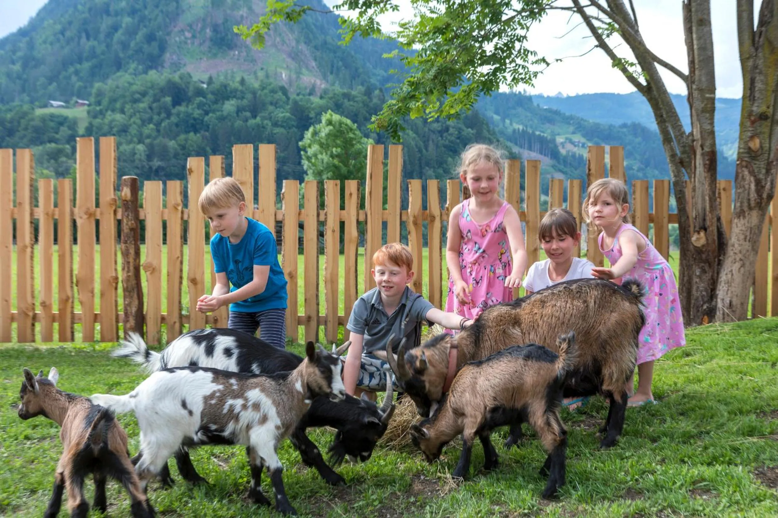 Animals in Lerchs Landhotel