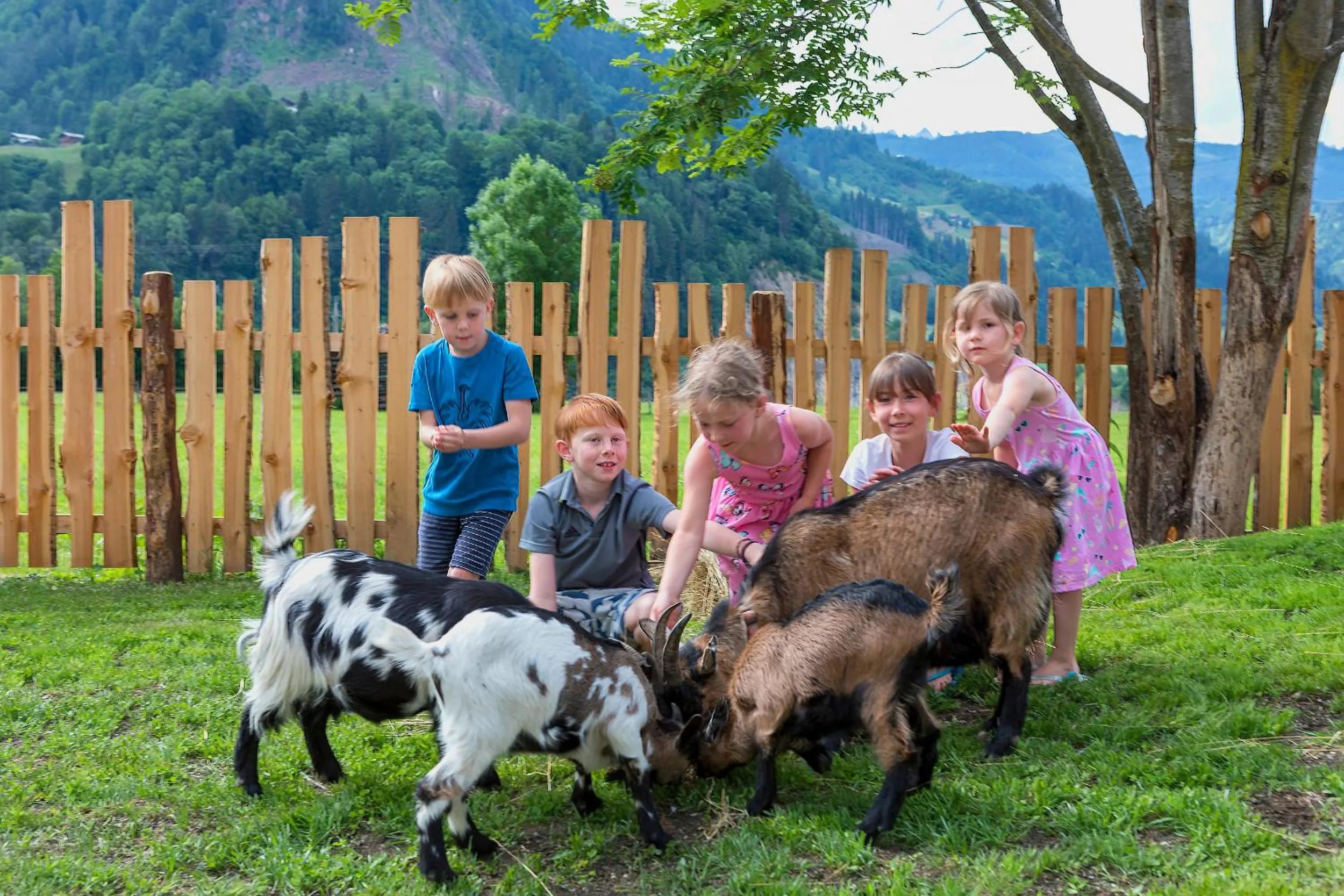Animals in Lerchs Landhotel