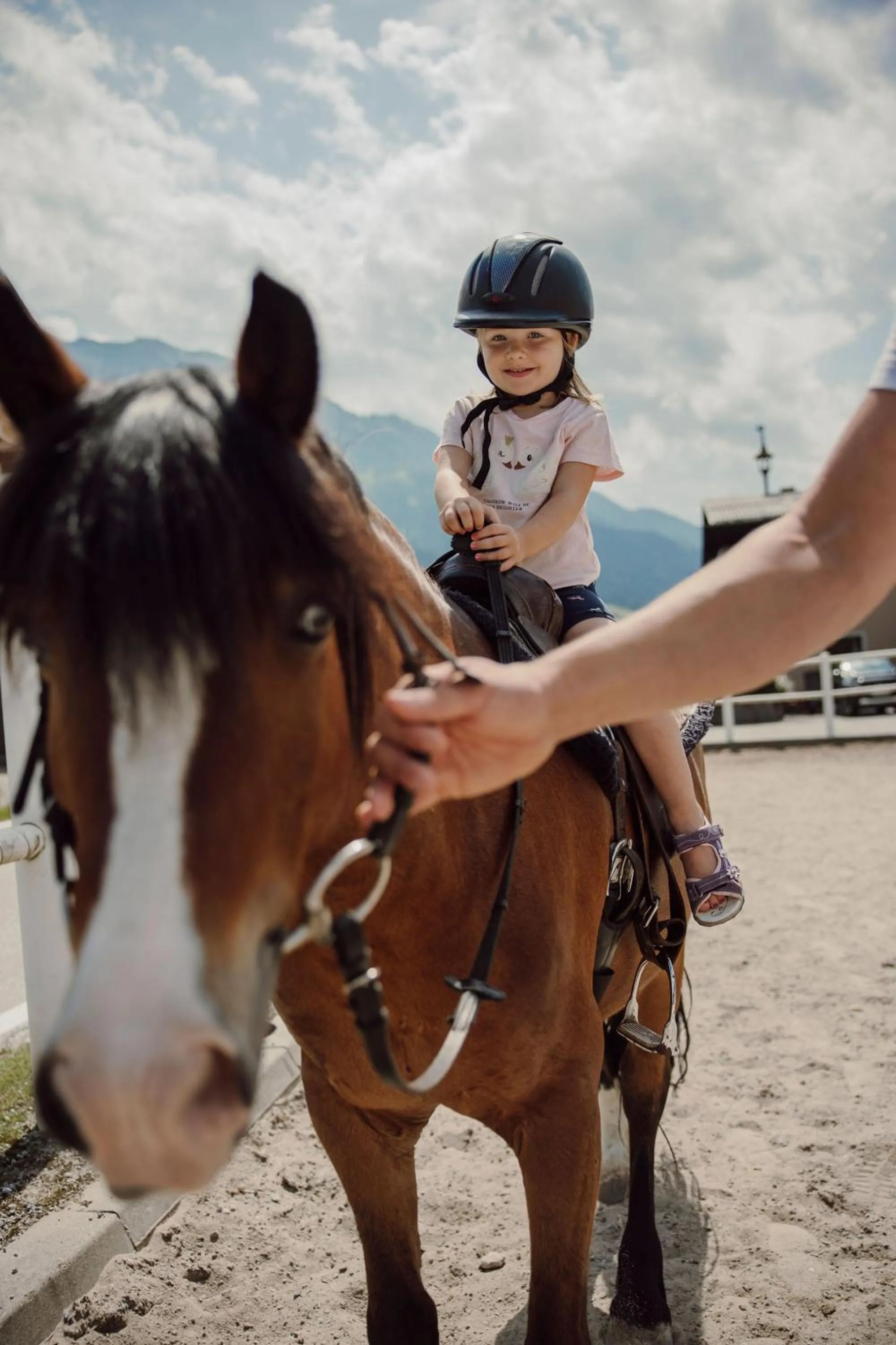 Animals in Lerchs Landhotel