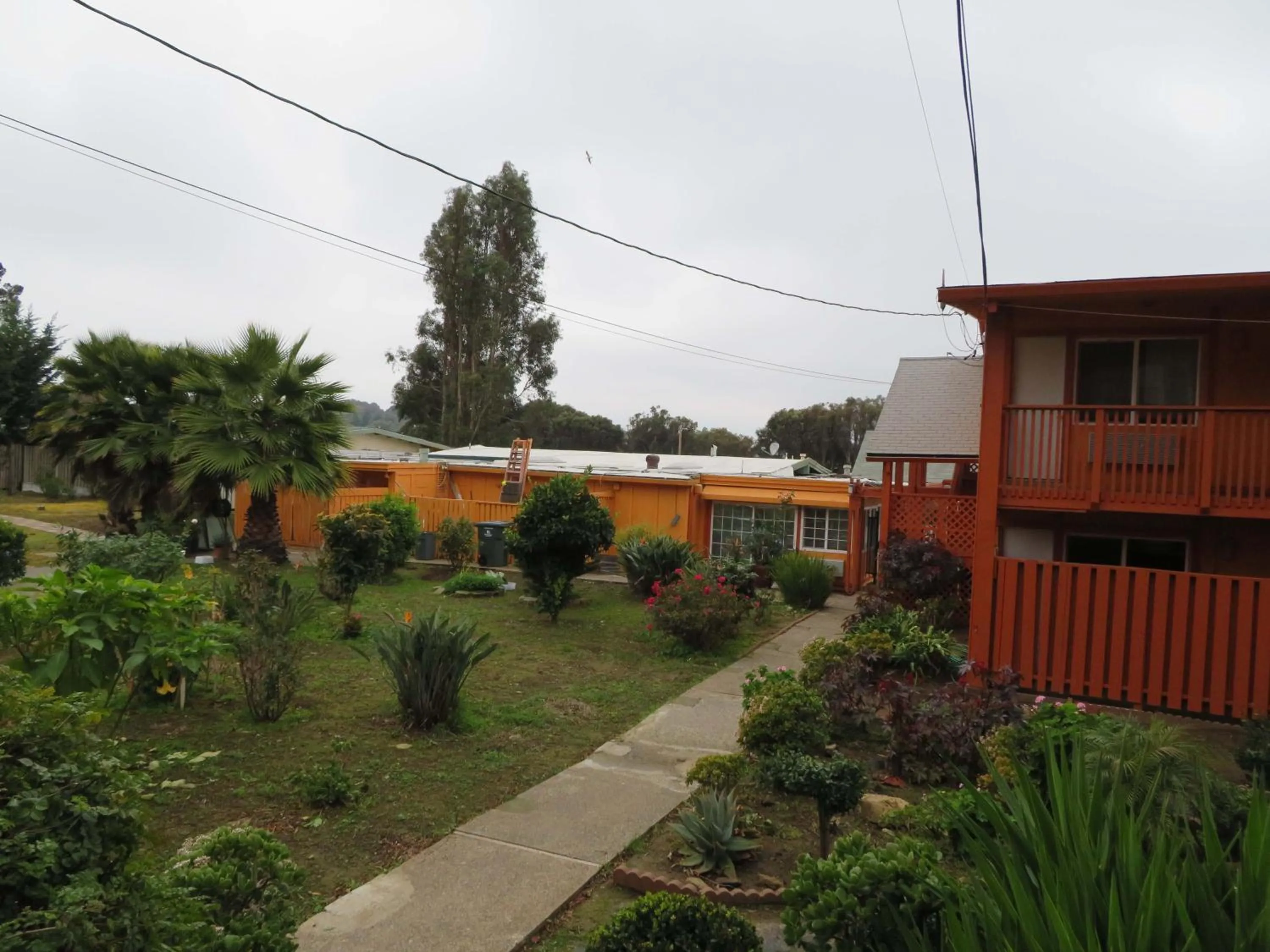 Garden in Carquinez Inn