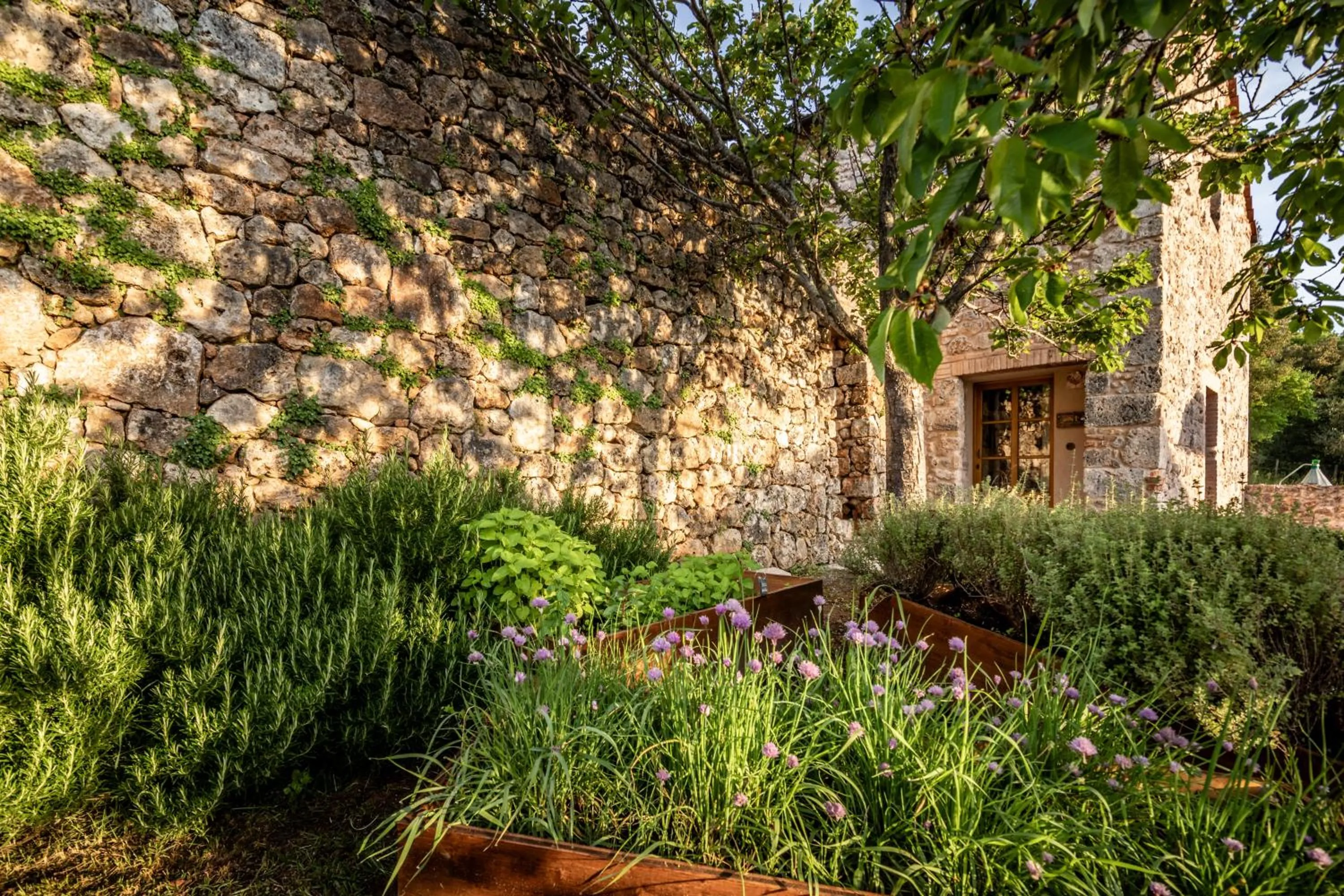Garden in Relais La Costa Historical Residence