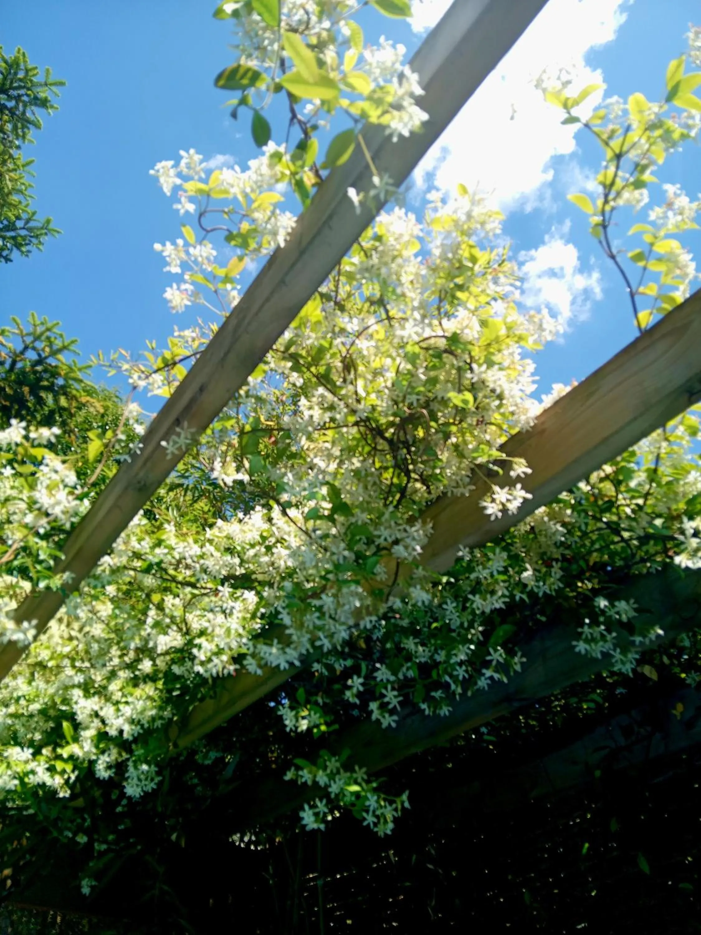 Natural landscape in La Cabane Bordeaux St Augustin